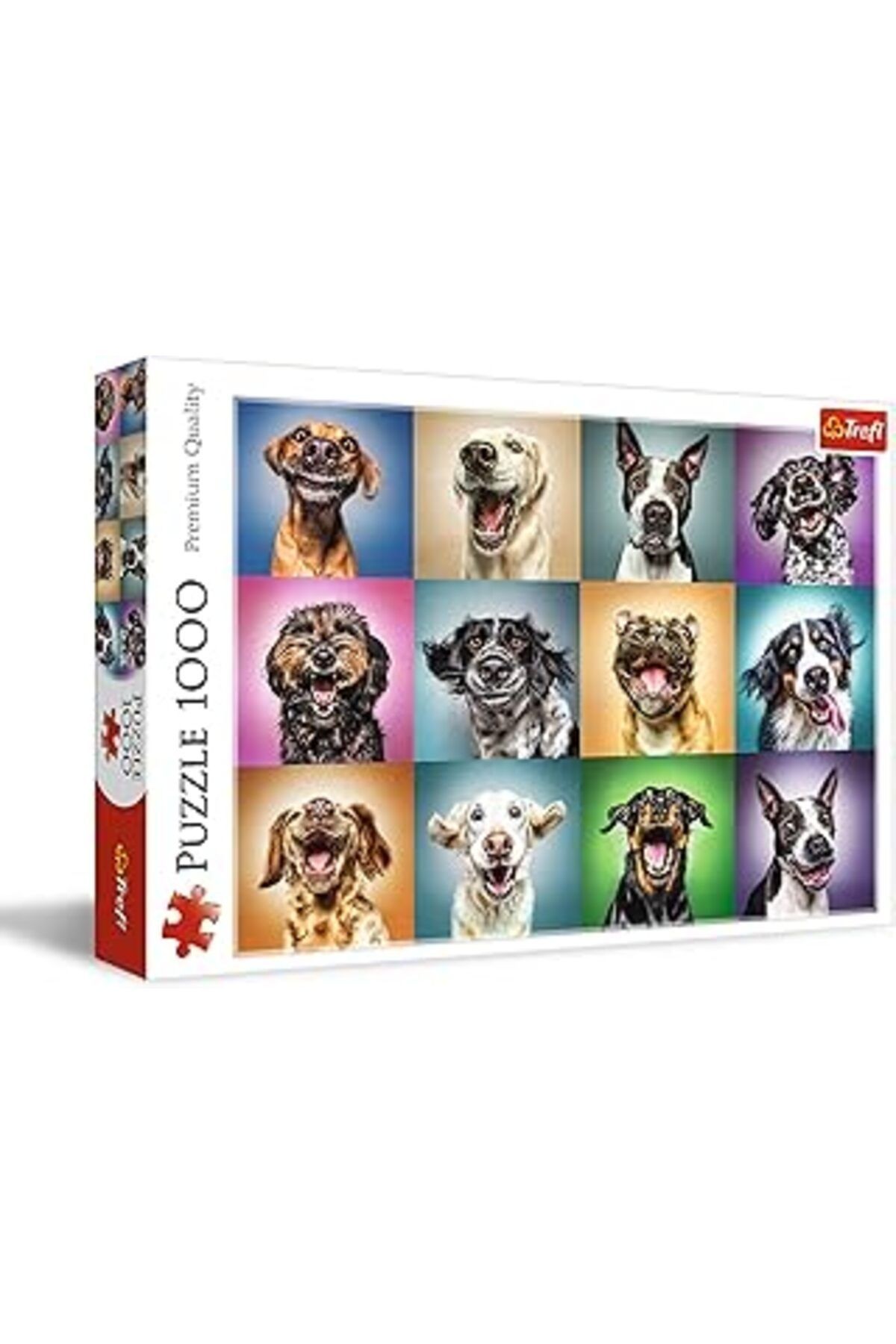 1000 Funny Dog Portraits