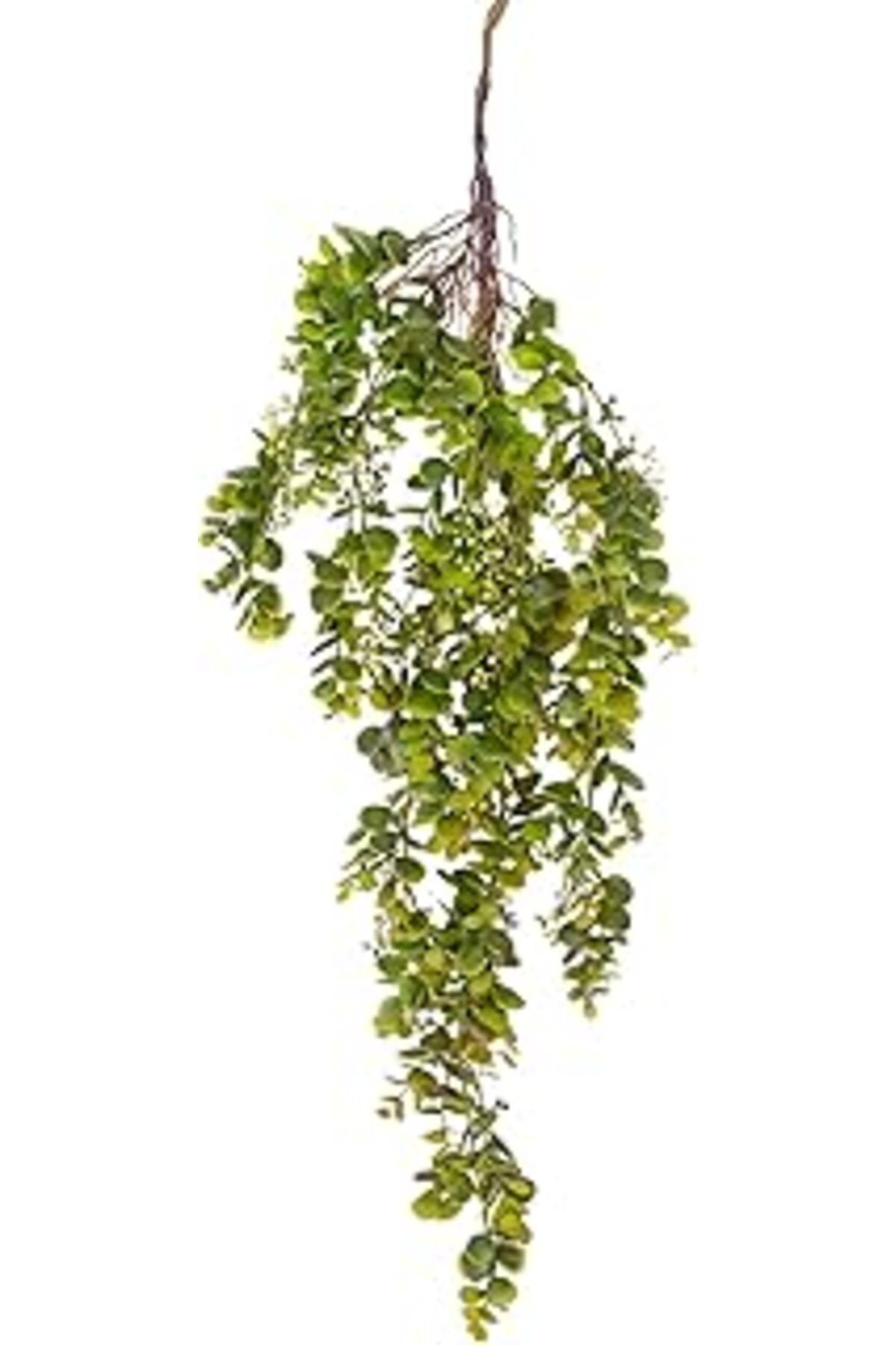 Herdekora Yapay Bitki Sarkan Sarmaşık Okaliptus Yeşil 100 Cm.