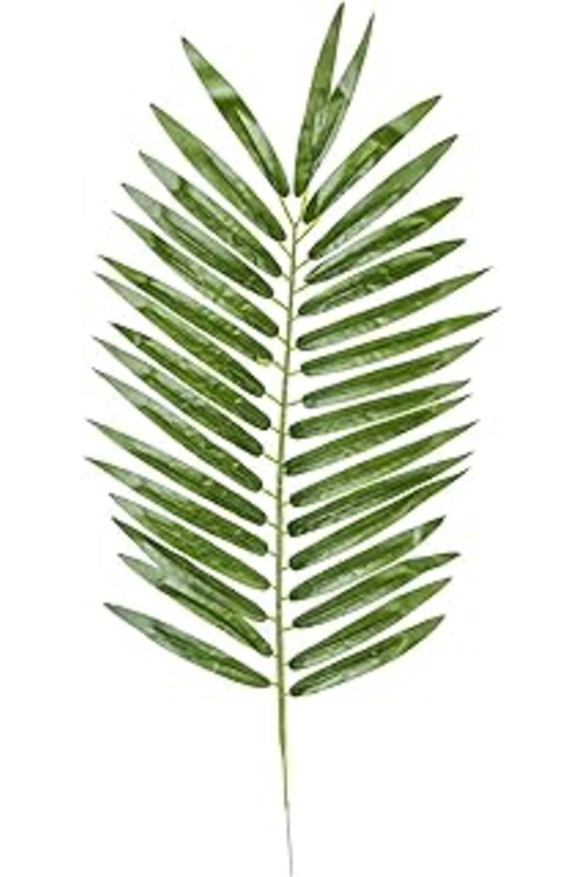 Euro Flora Bzefl44382 Yapay Palmiye Dalı 54 Cm