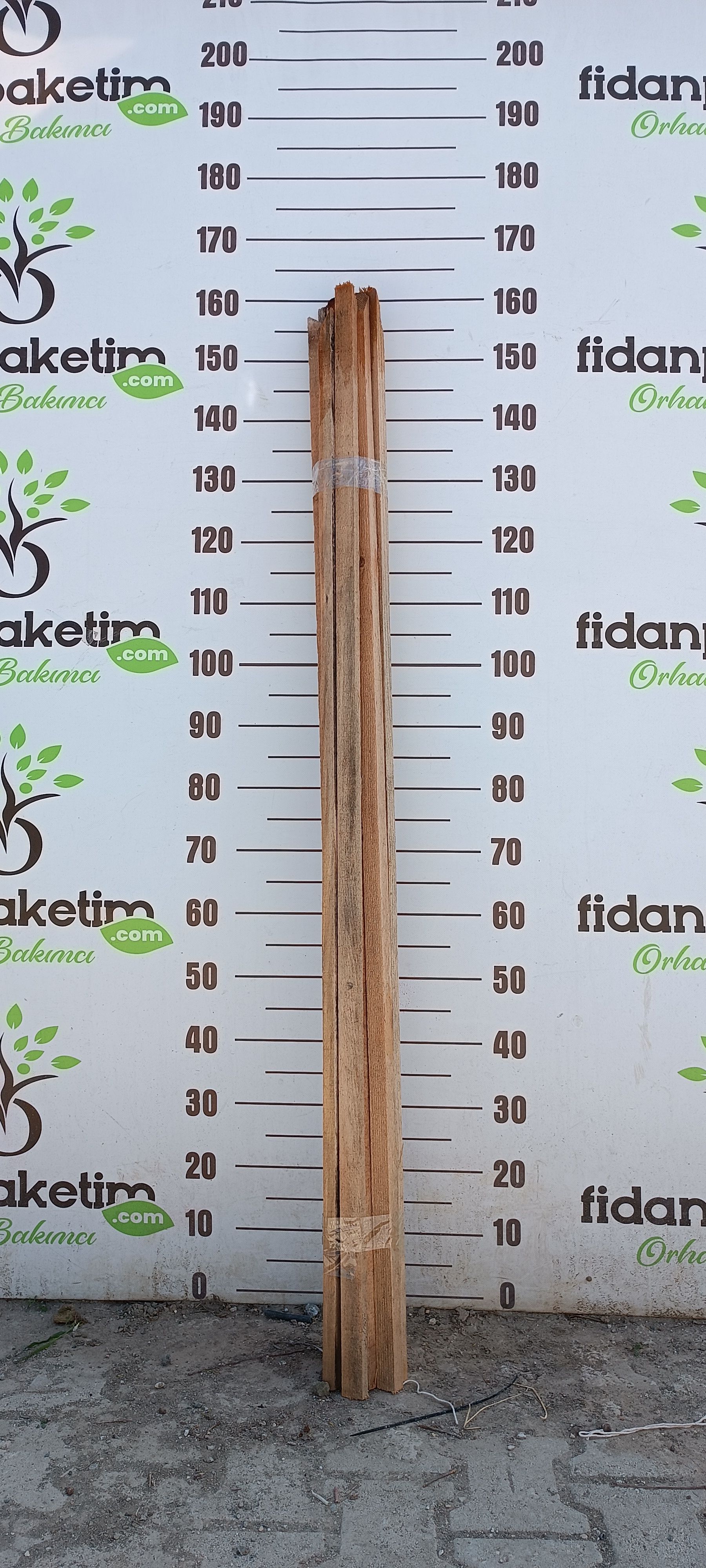 FİDAN KAZIĞI( 2cm * 3cm * 160-170 cm ) Fidan Destek Çubuğu '' TAHTA '' - 10 ADET