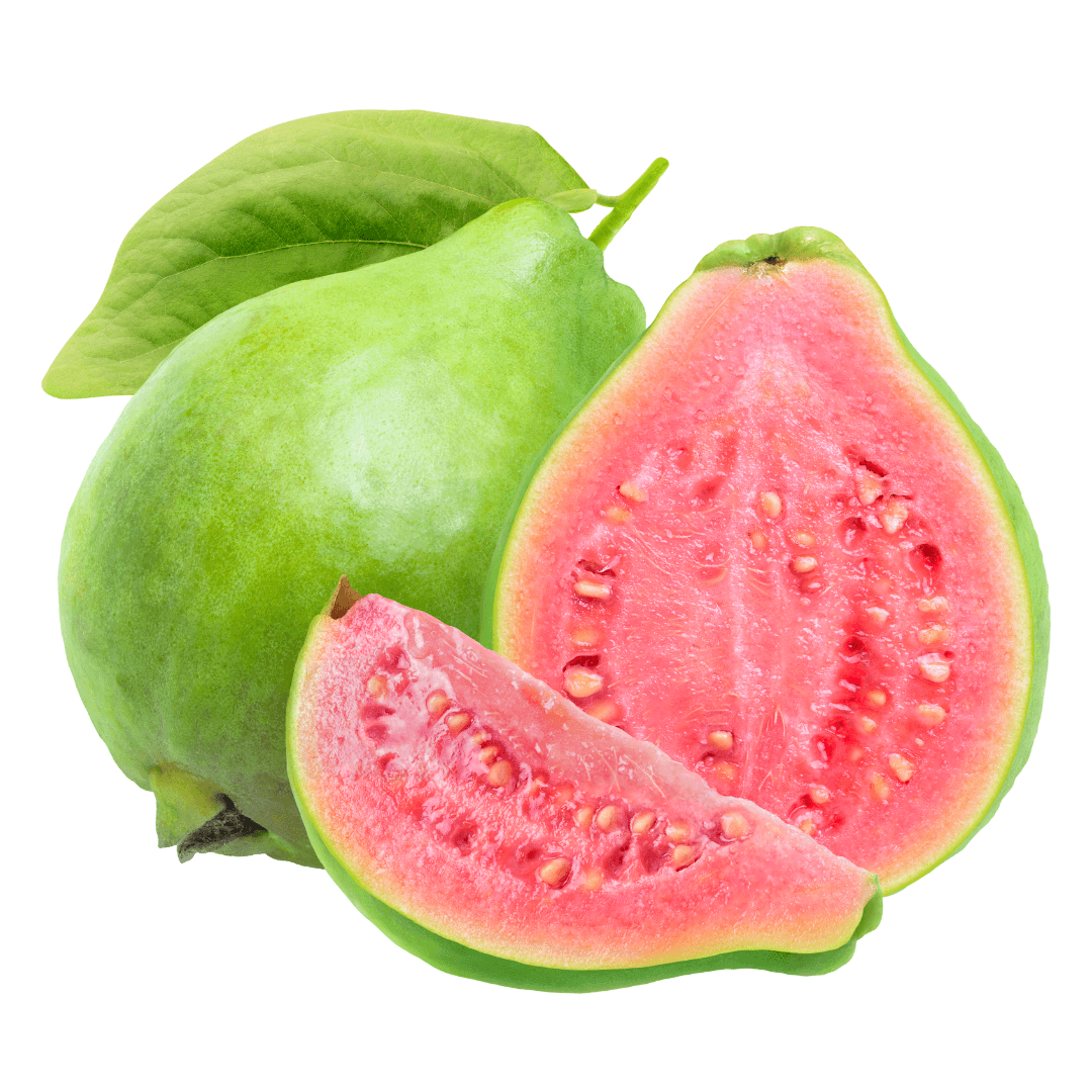 Guava - küçük form