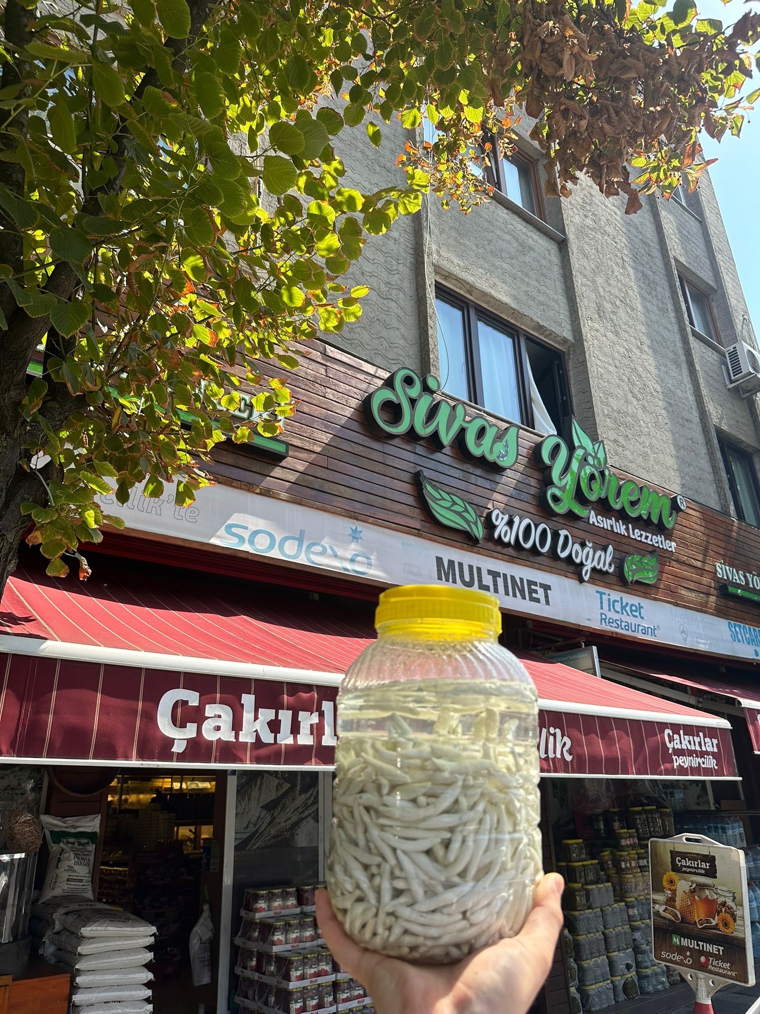 Doğal Sivas Kenger sakızı 10 adet