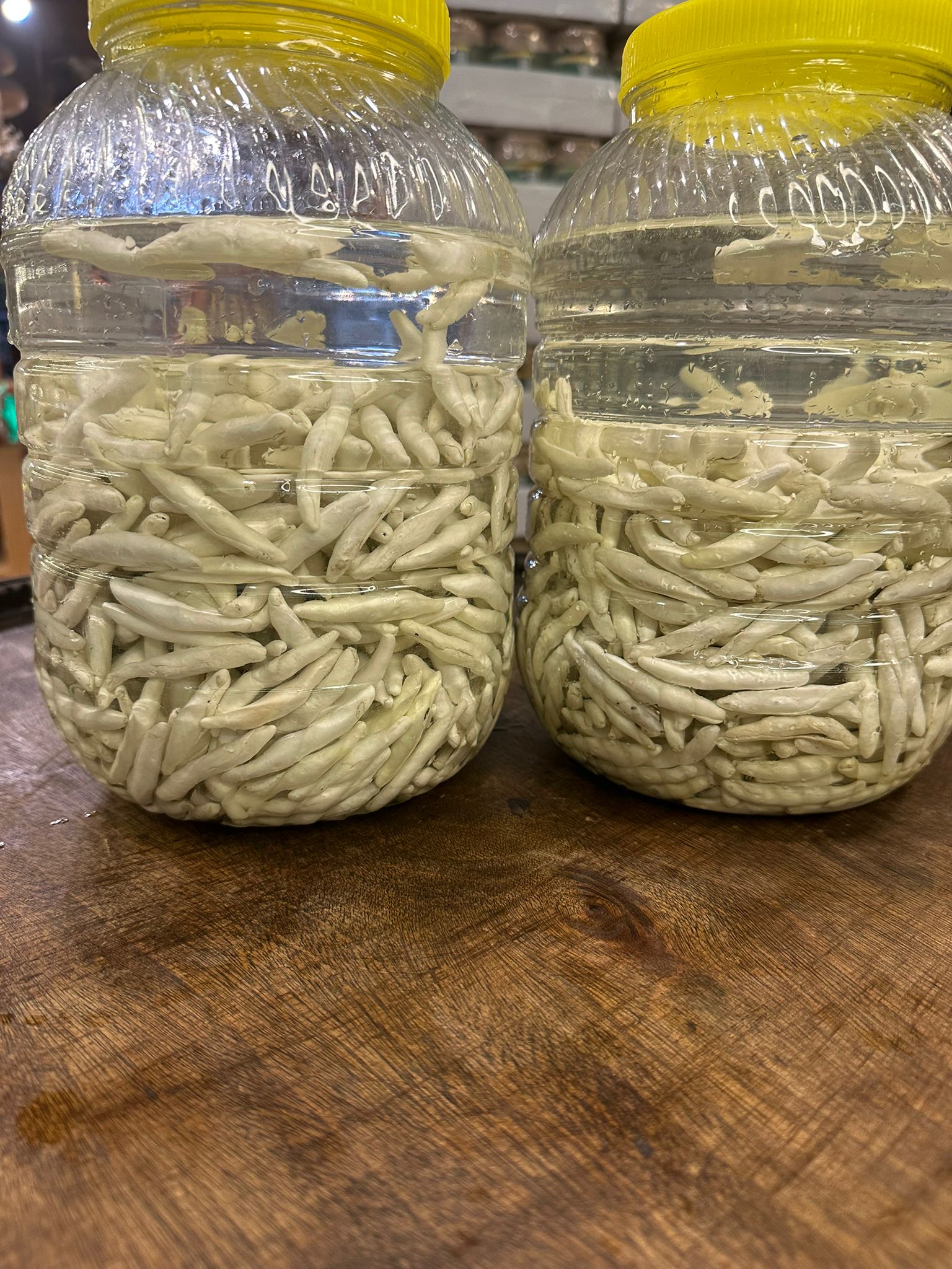 Doğal Sivas Kenger sakızı 10 adet