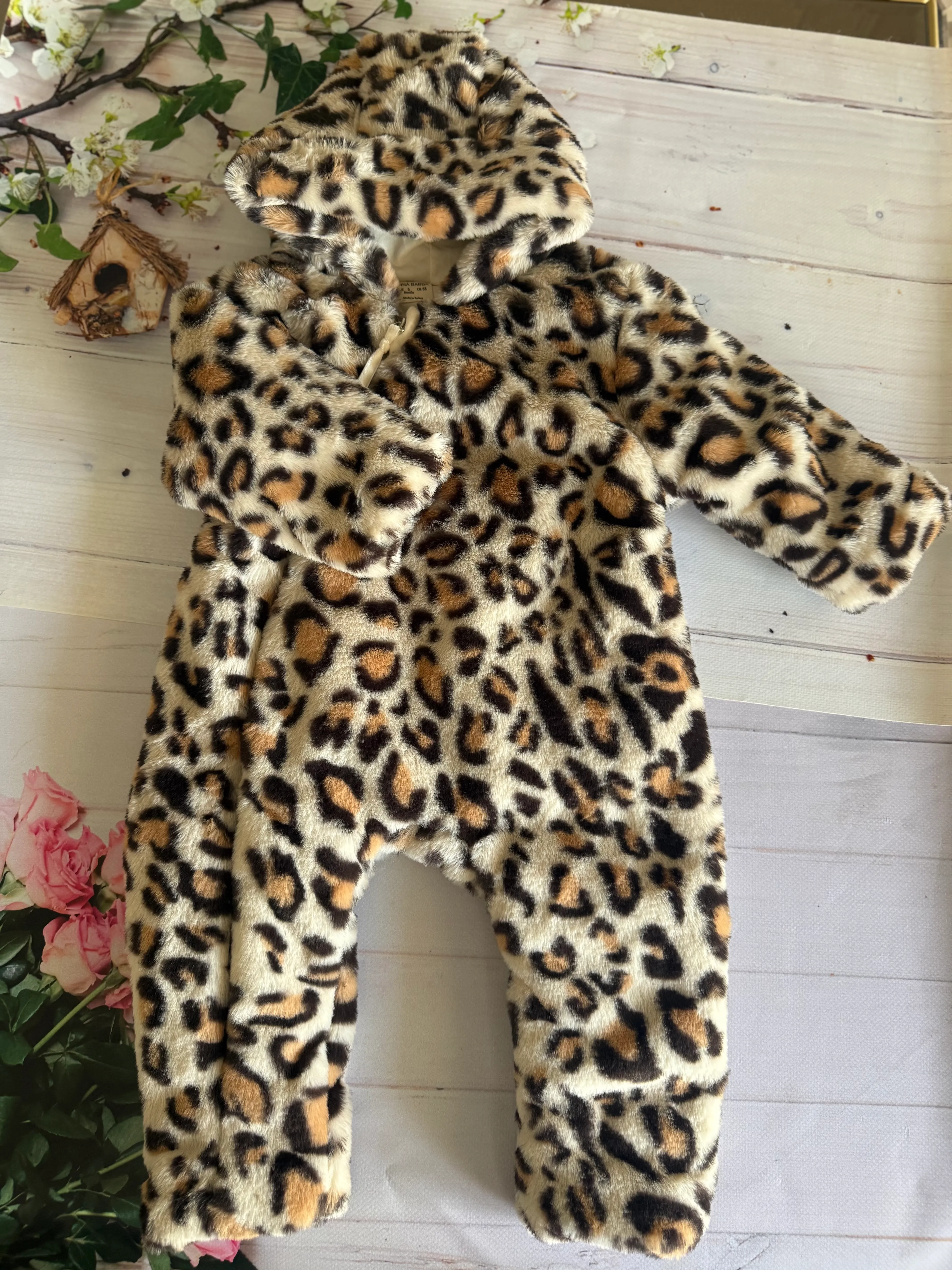 Leopar Astronot Tulum