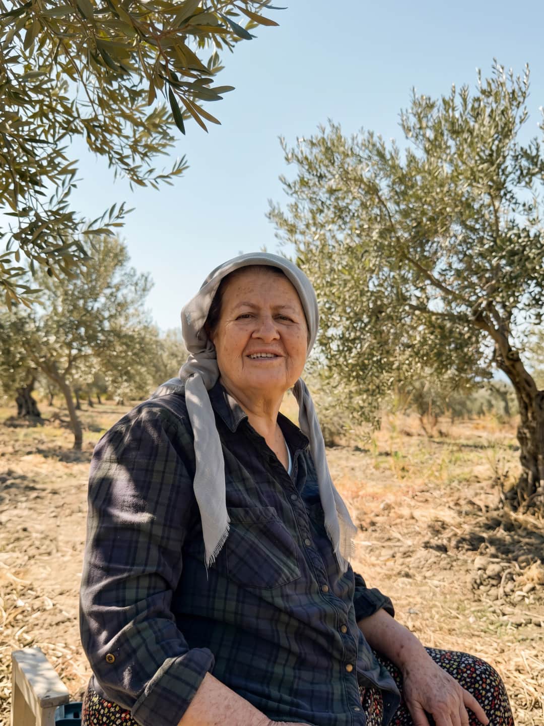 Zeytinlikte aile büyüklerimizden bir portre