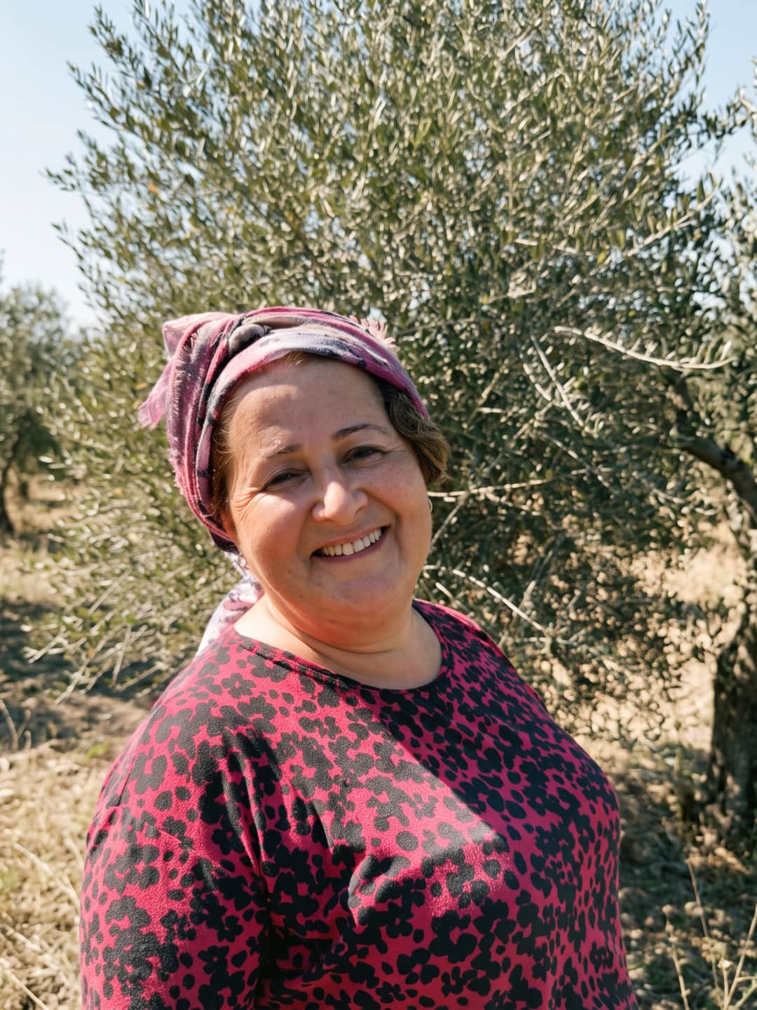 Olyvian ailesinden zeytinlikte bir portre