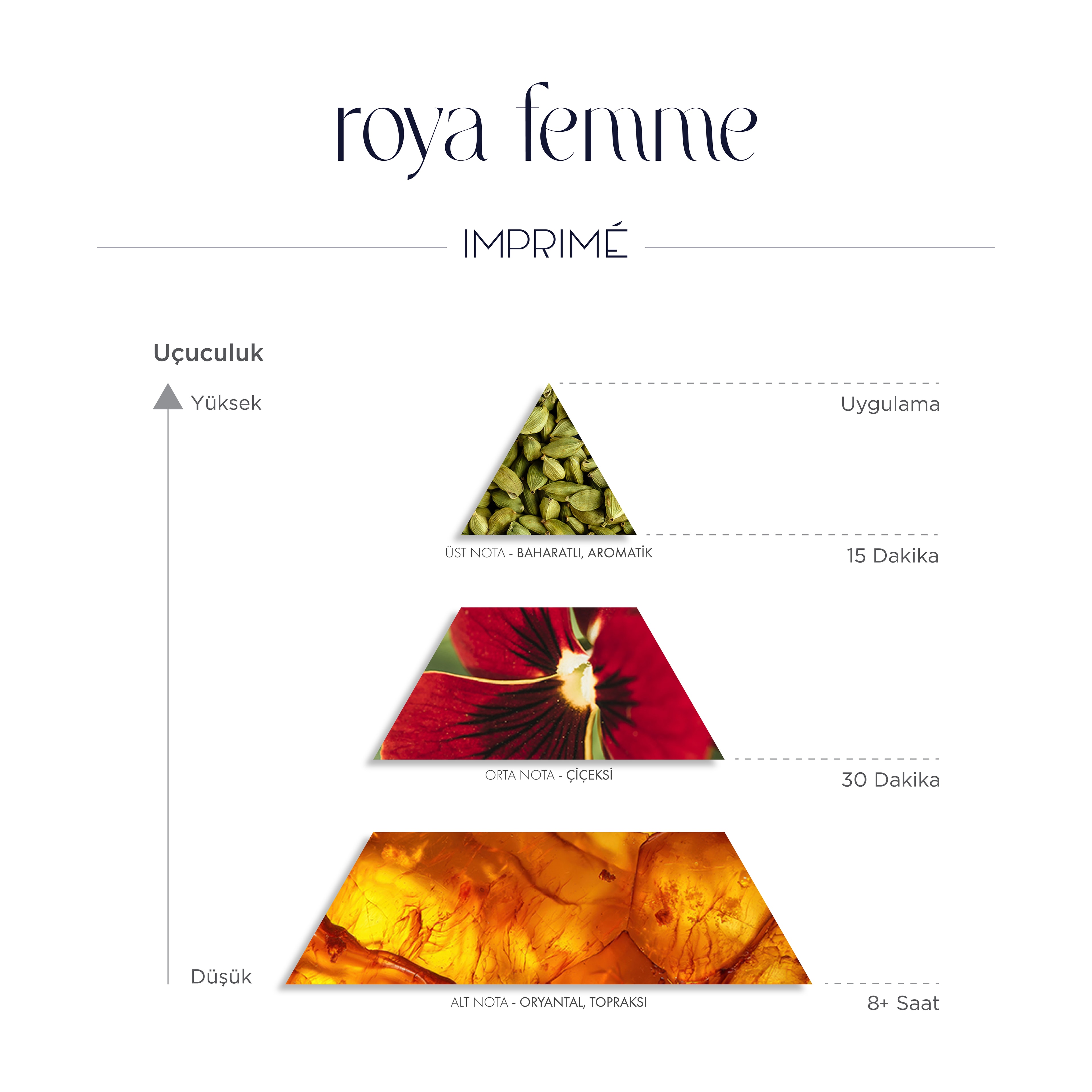 Imprime Roya Femme  EDP Kadın Parfüm 50ml | Oryantal & Çiçeksi |Biberiye, Sardunya, Sandal Ağacı, Vanilya 