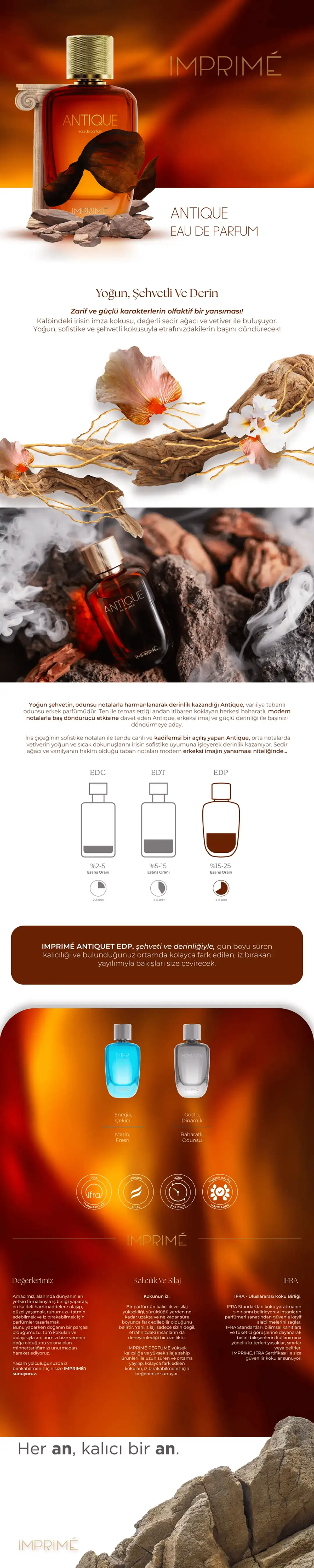 Antique EDP Erkek Parfüm 100ml | Odunsu ve Çiçeksi | Iris, Vetiver, Vanilya, Sedir Ağacı