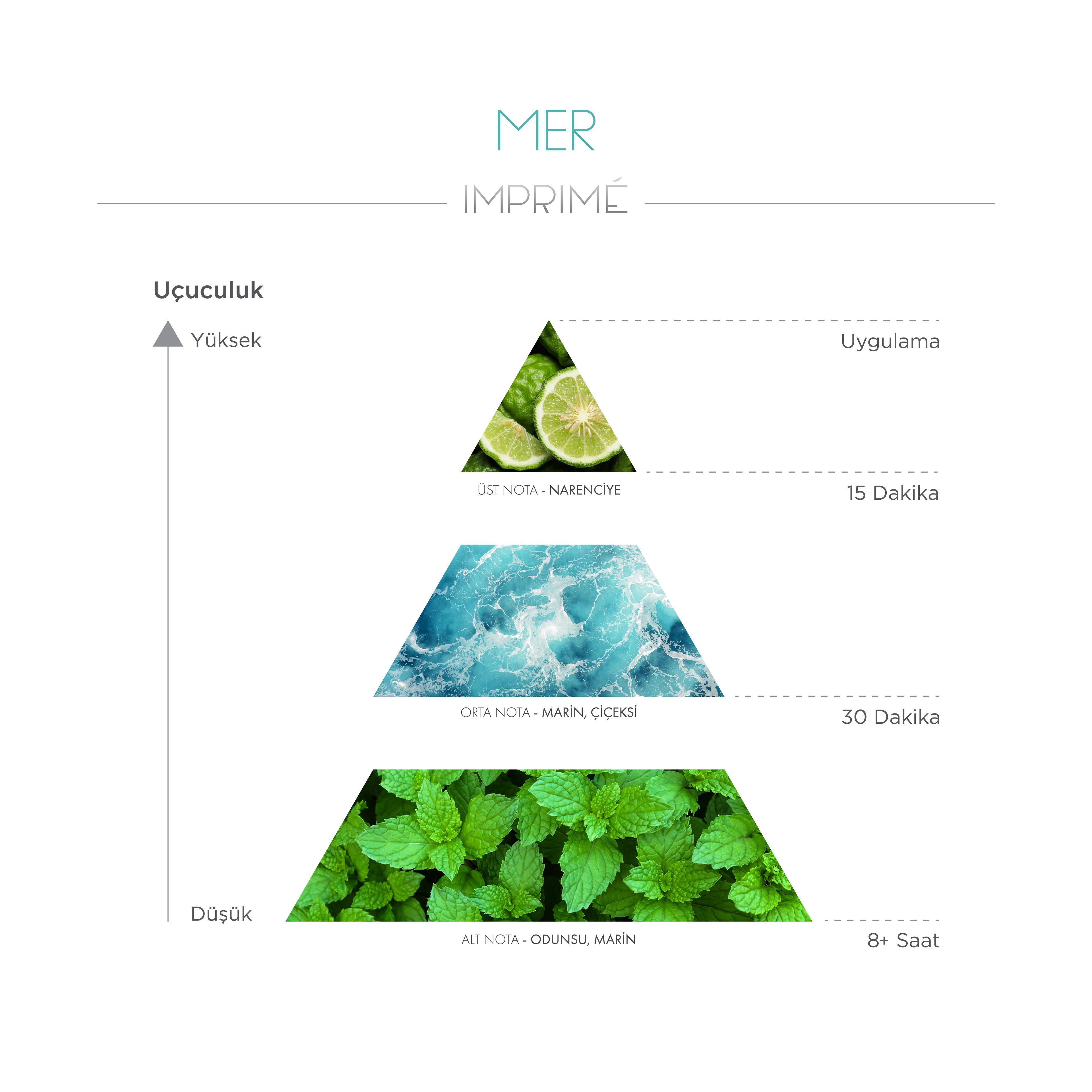 3'lü EDP Erkek Parfüm Seti 100 ml 3 Adet (Mer 100 ml & Horizon 100ml & Antique 100ml)