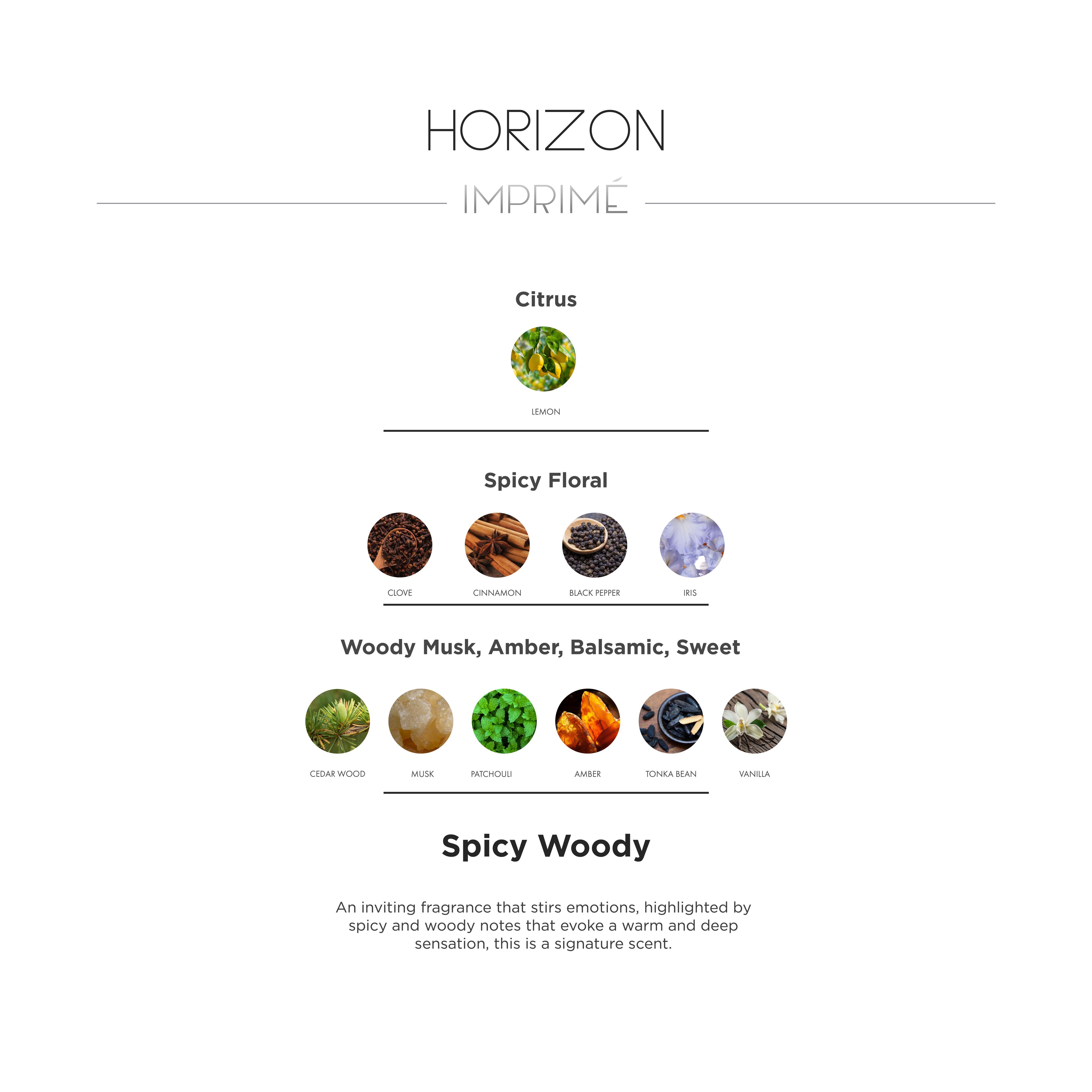 Horizon Spicy Woody 100 ml Men's Perfume