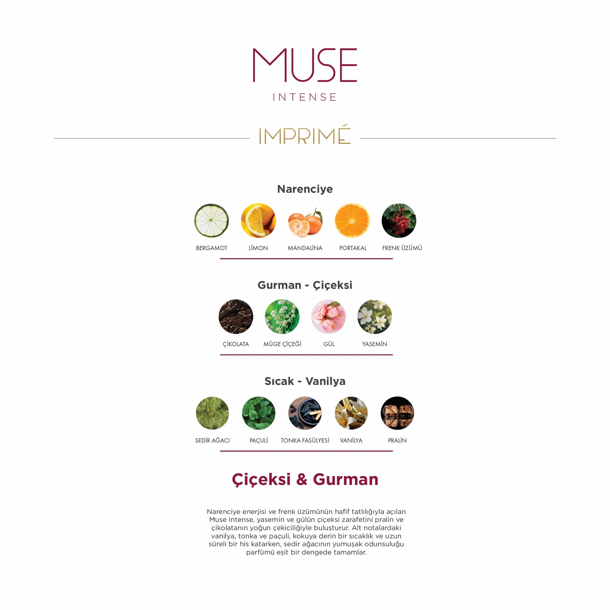 Muse Intense EDP Kadın Parfüm 50 ml | Çiçeksi ve Gurman | Frenk Üzümü, Çikolata, Vanilya, Pralin