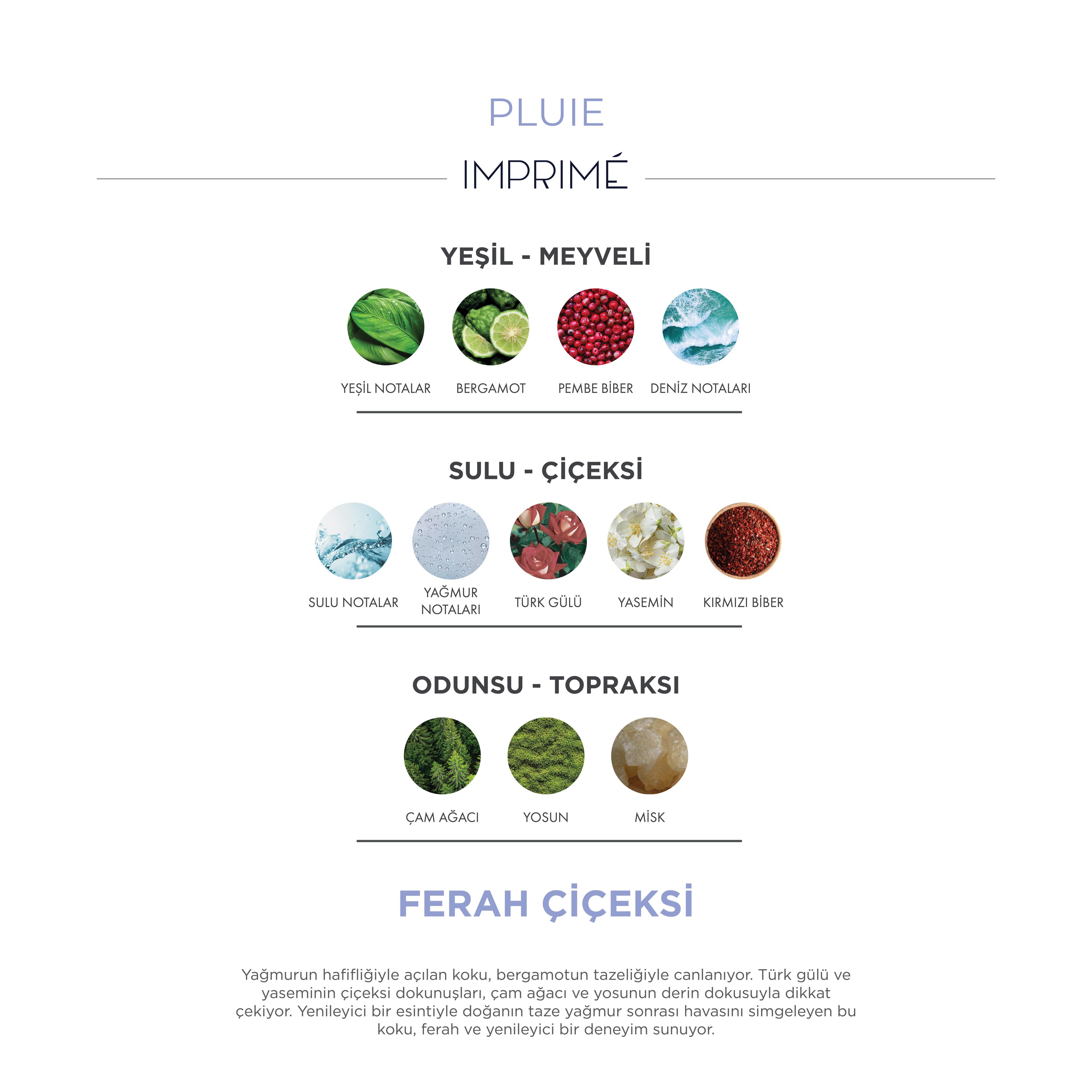 Pluie Edp Unisex Parfüm 50ml| Ferah Çiçeksi | Bergamot, Pembe Biber, Yağmur, Gül, Yasemin,çam, Misk