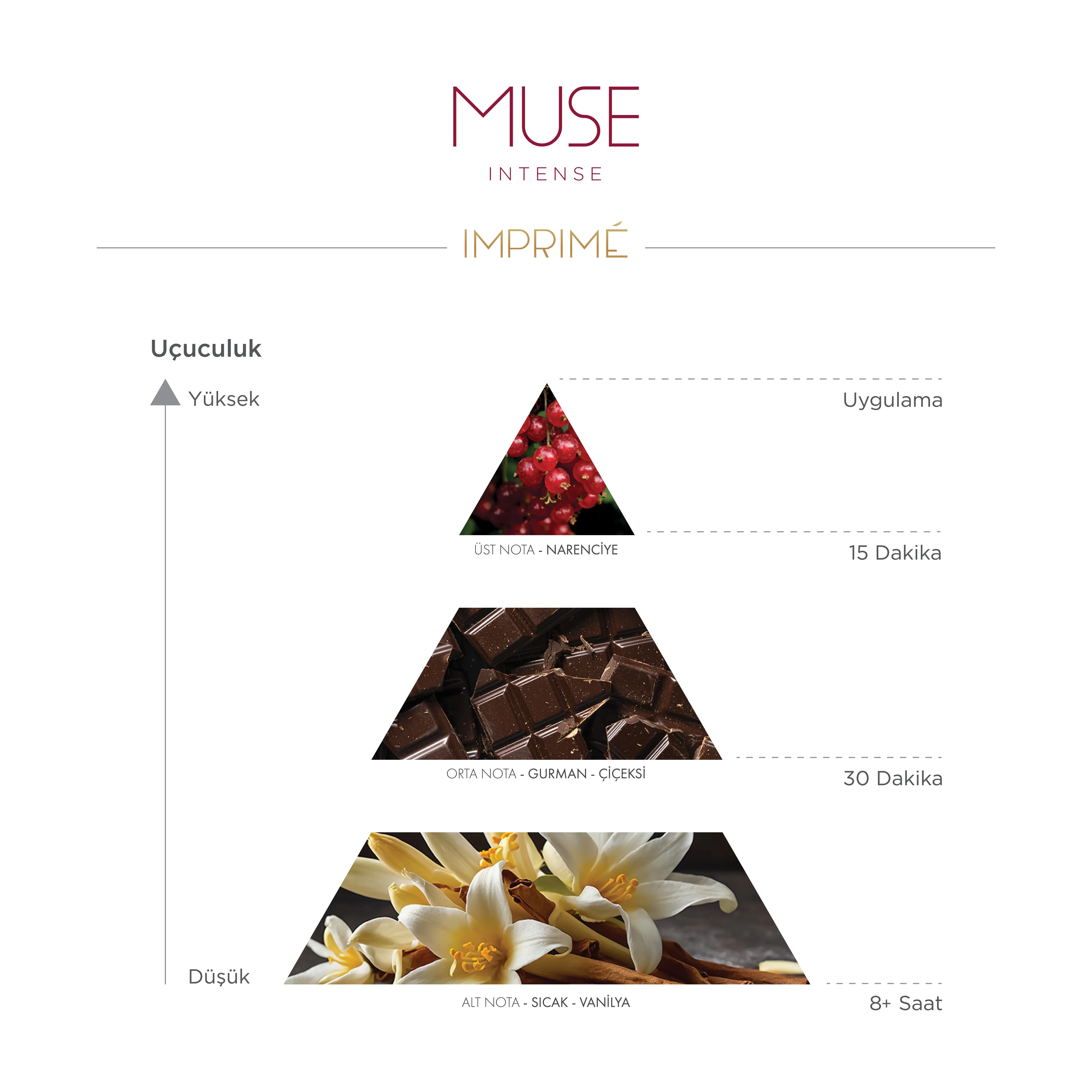 Muse Intense EDP Kadın Parfüm 50 ml | Çiçeksi ve Gurman | Frenk Üzümü, Çikolata, Vanilya, Pralin