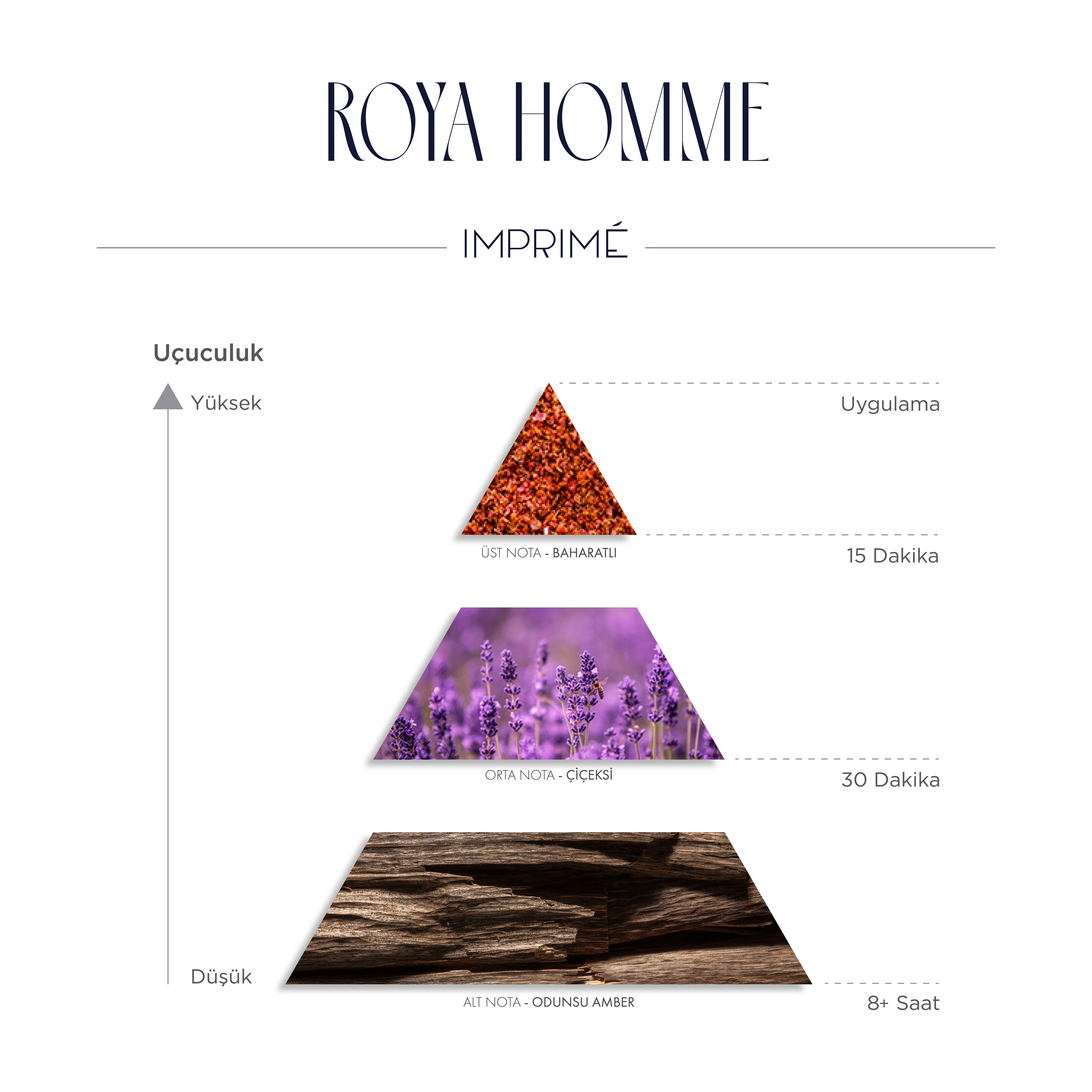 Imprime Roya Homme EDP Erkek Parfüm 50ml | Oryantal ve Çiçeksi | Kırmızı Biber, Lavanta, Kaledonya Sandal Ağacı, Amber