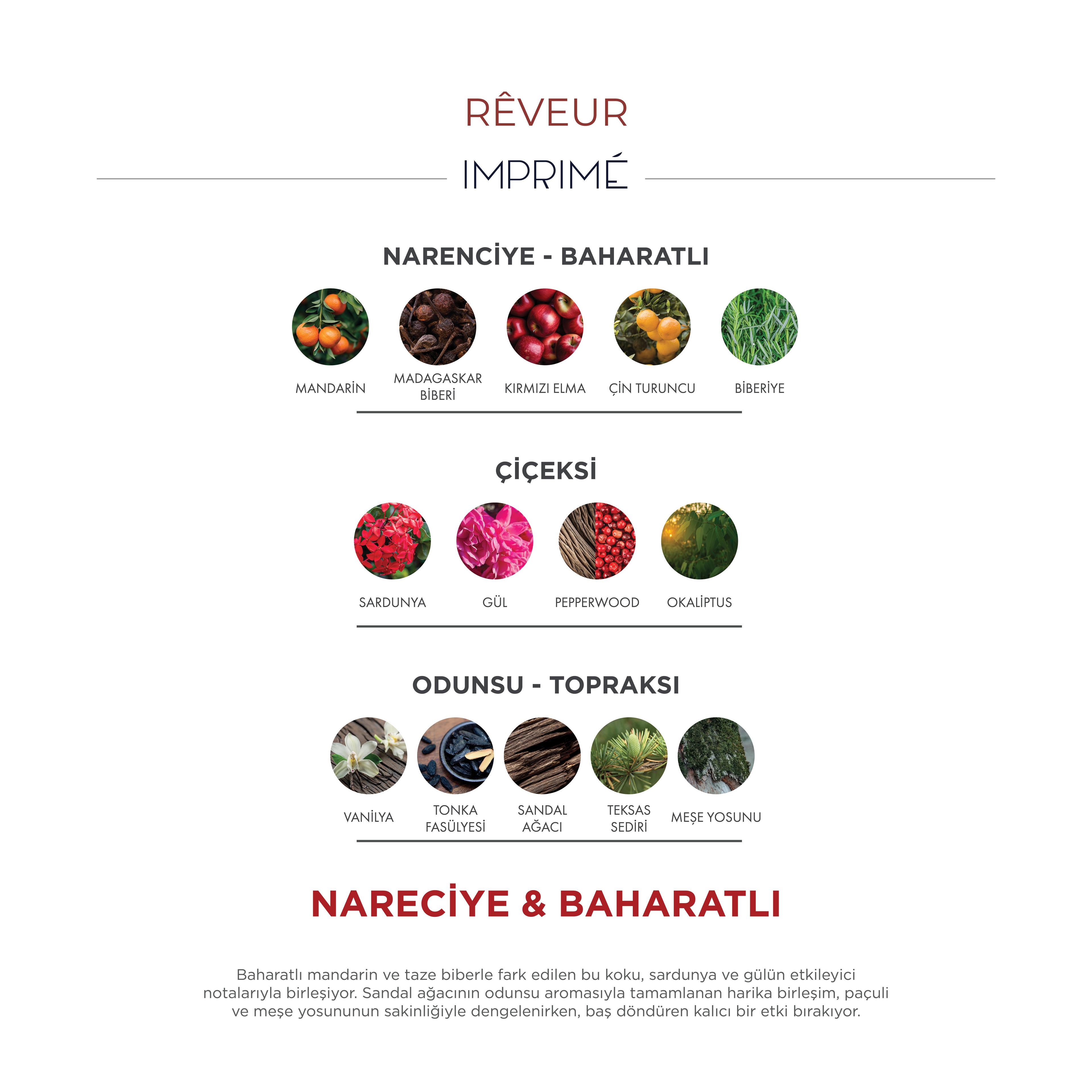 Rêveur EDP 100ml Parfüm | Narenciye, Baharatlı | Mandalina, Elma, Biberiye, Gül, Vanilya, Sandal