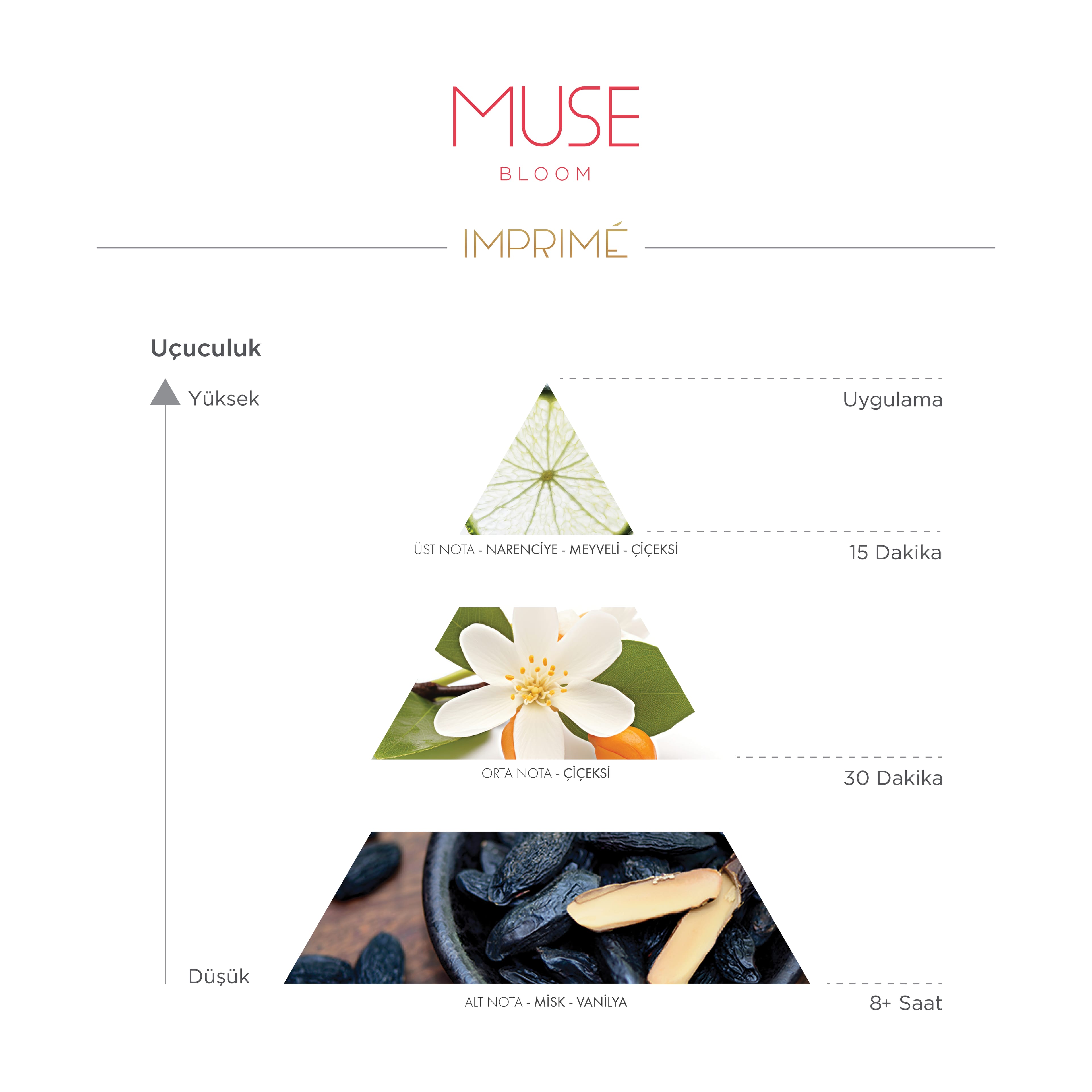  Muse Bloom EDP Kadın Parfüm 50 ml | Çiçeksi & Misk | Bergamot, Müge, Menekşe, Vanilya, Misk 
