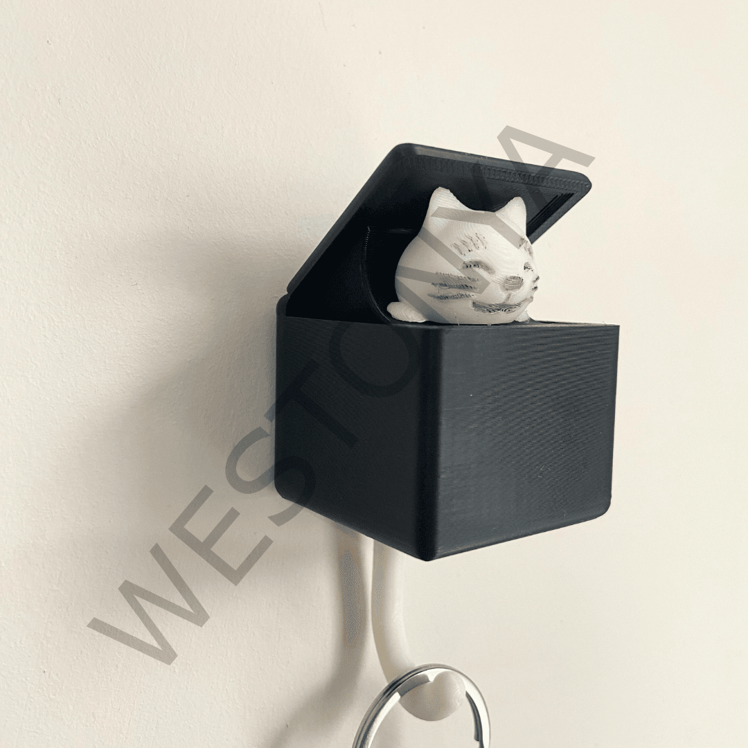 Kutuya Saklanan Kedi Anahtarlık Tutacağı