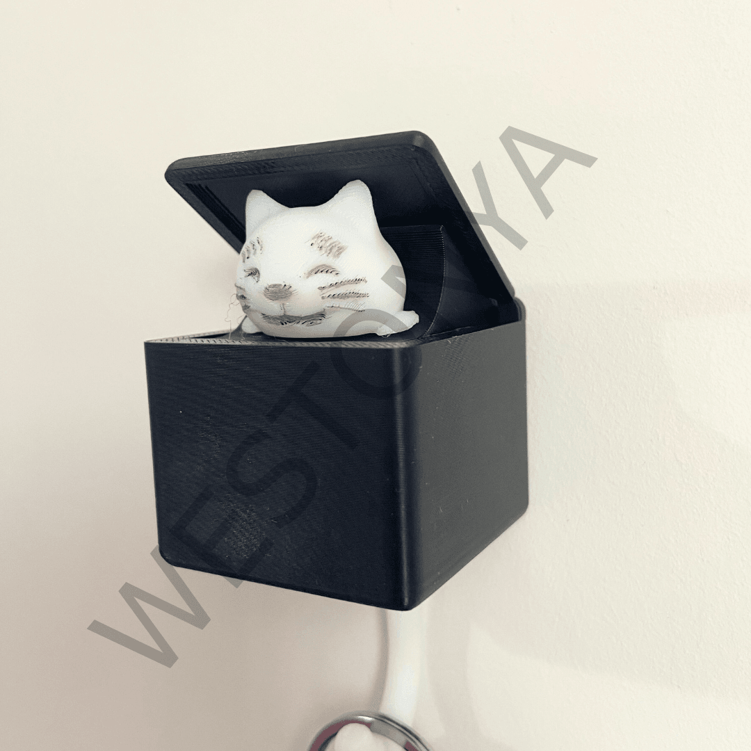 Kutuya Saklanan Kedi Anahtarlık Tutacağı