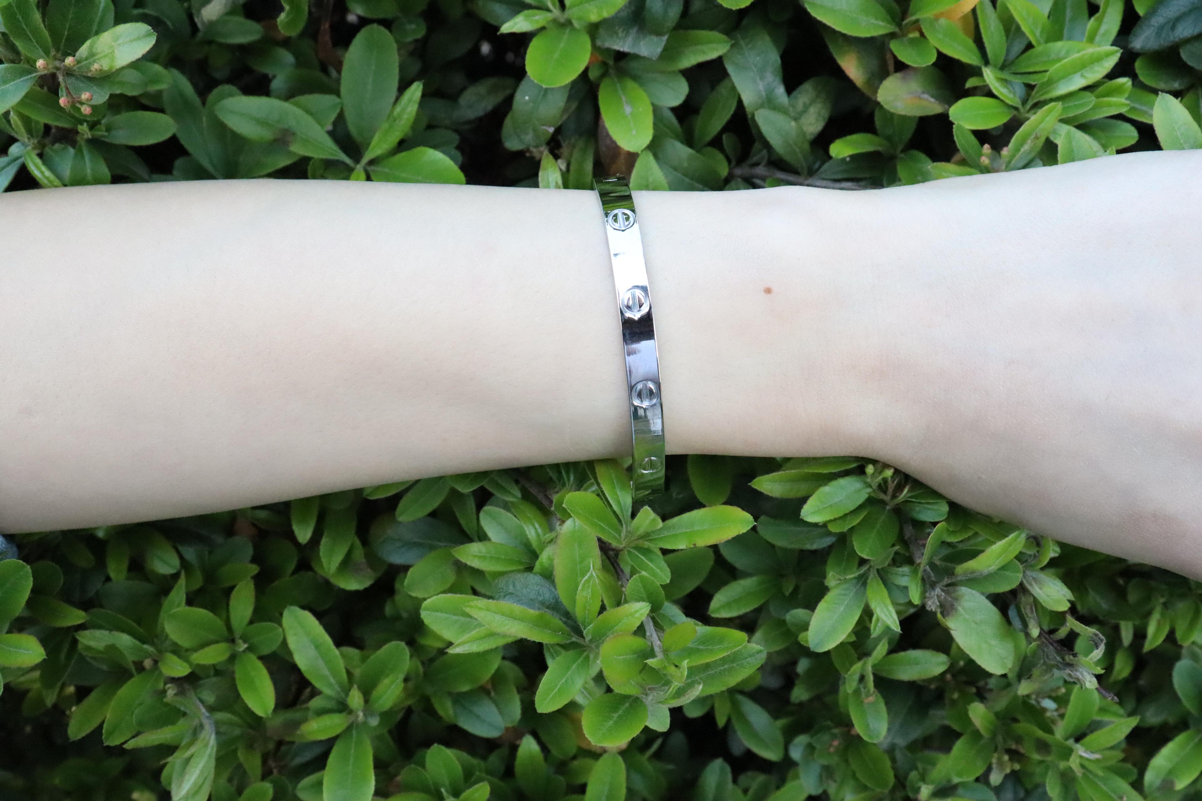 Silver Cartier Kelepçe Standart Boy