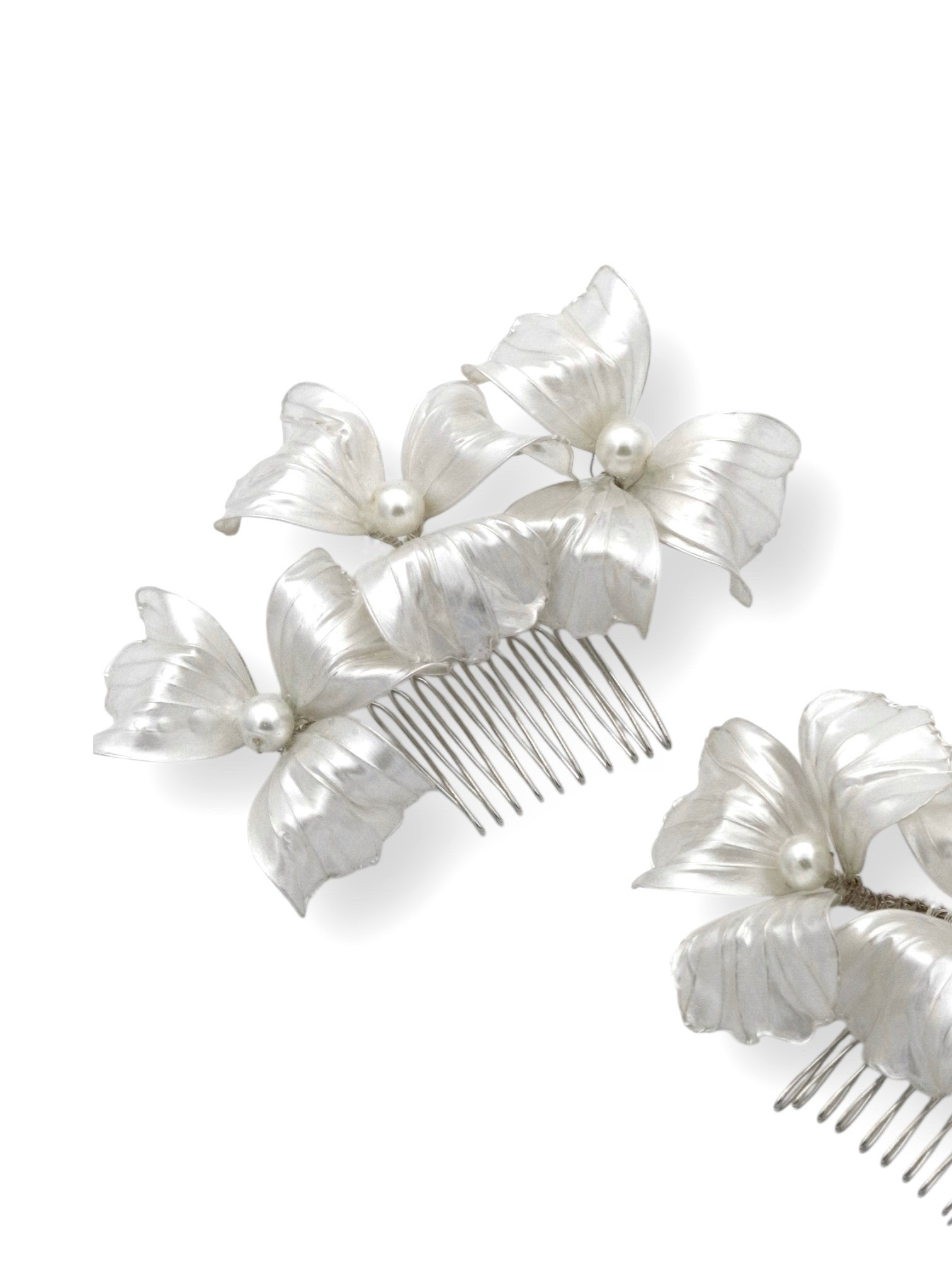 Paola Comb
