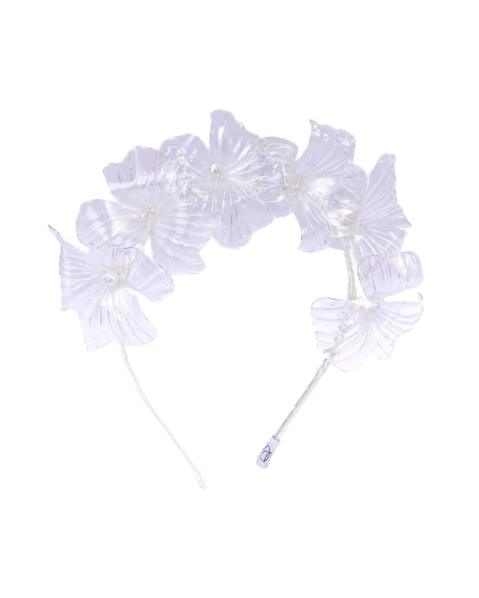 Paola Transparent