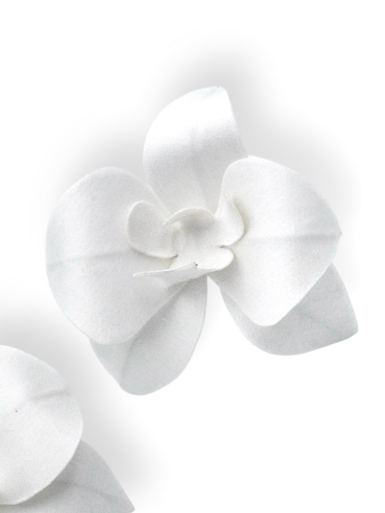 Satin Orchid Flower