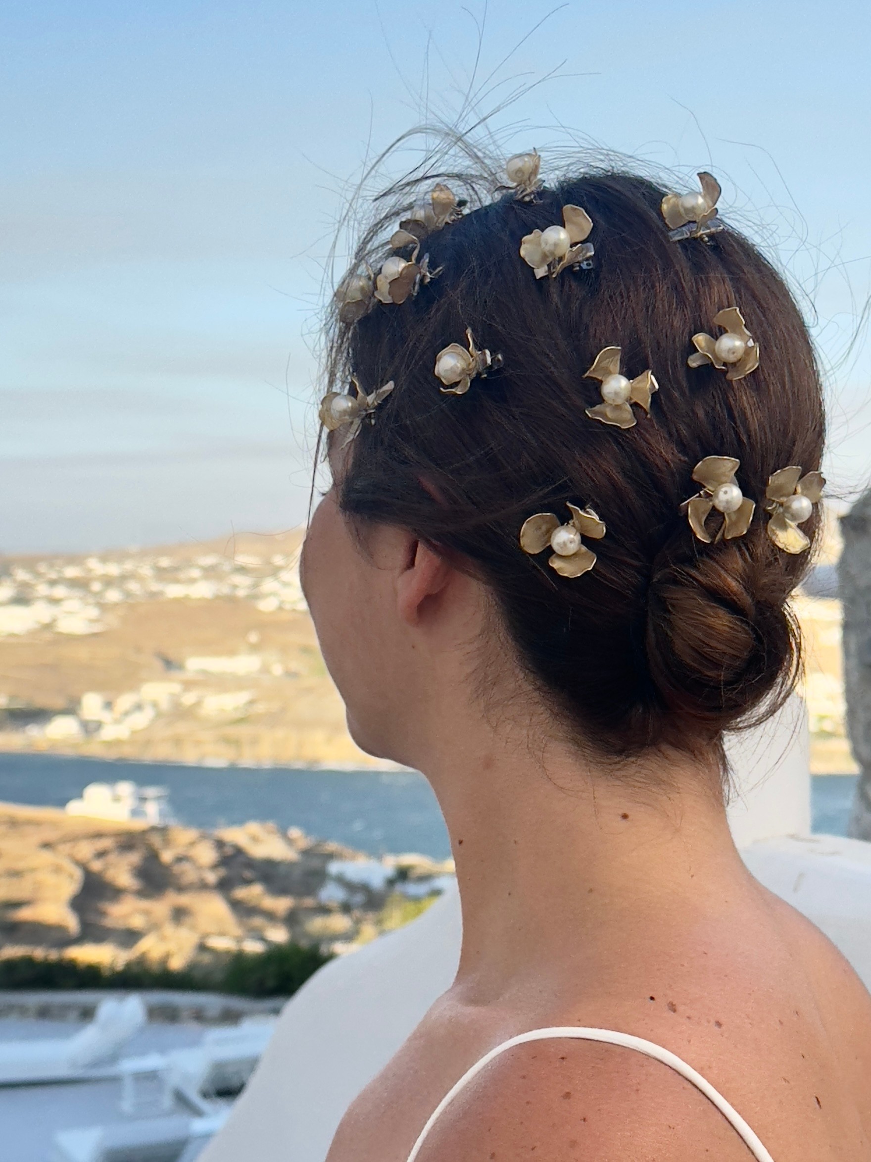 Hazal Pin Set