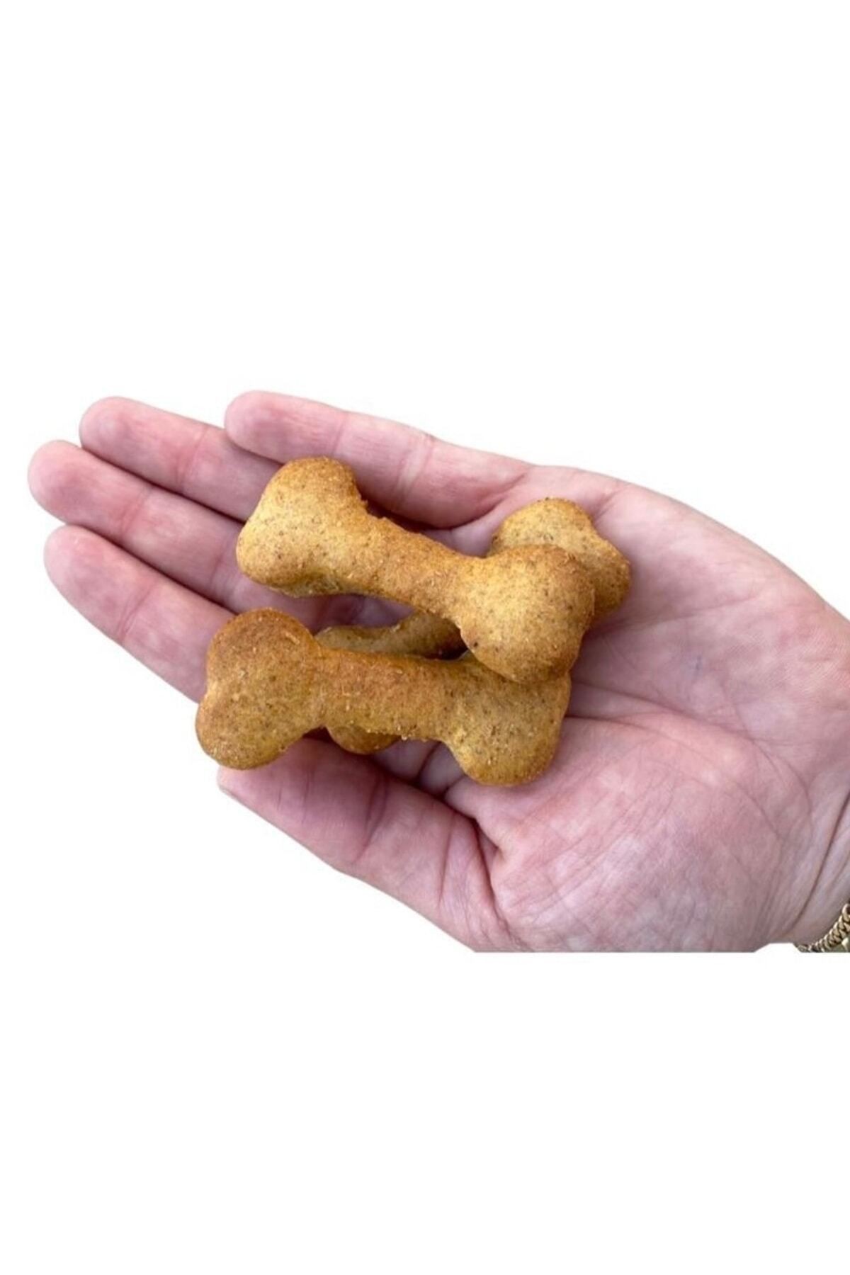 Balkabaklı Köpek Ödül Kurabiyesi 100g-Katkısız