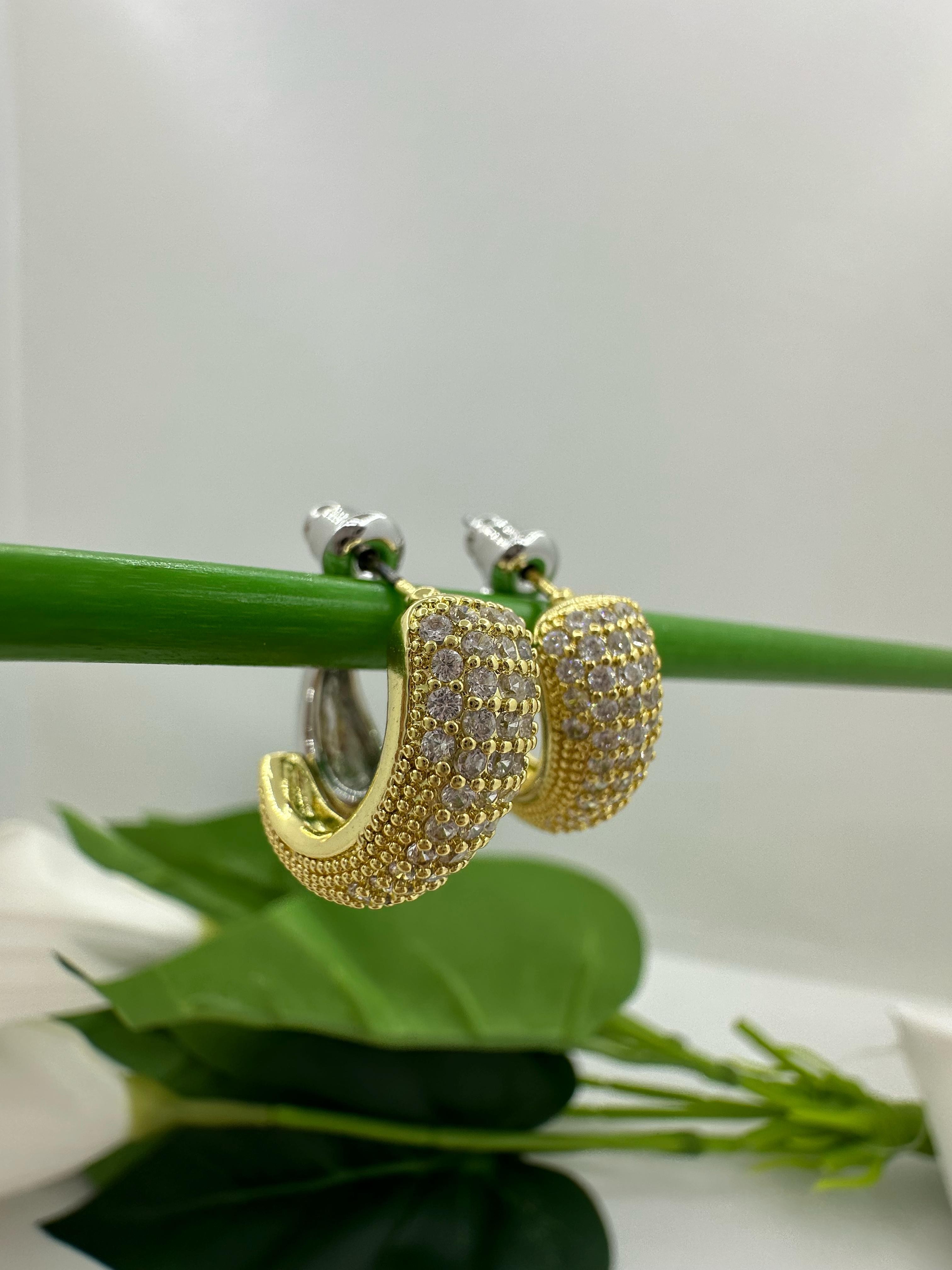 Kadın Gold & Gümüş Renk Zirkon Taşlı Çelik Küpe