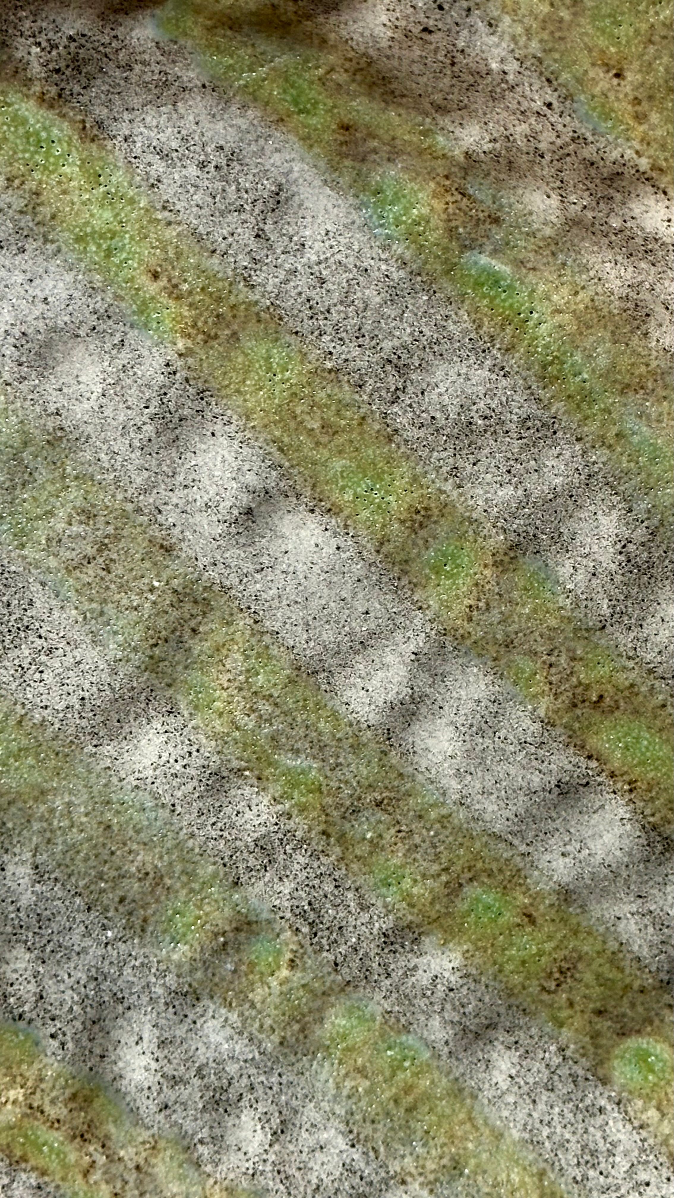 Çizgili oval tabak