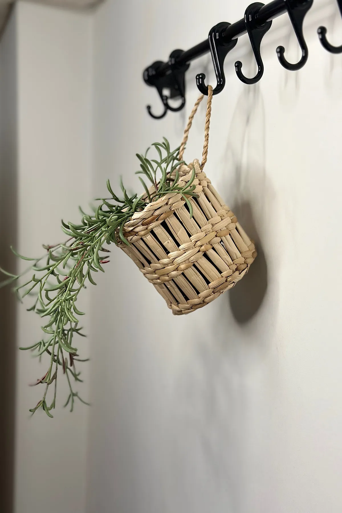 Dekoratif Çok Amaçlı Doğal El Yapımı Hasır Saksı Sepet / 10x10CM