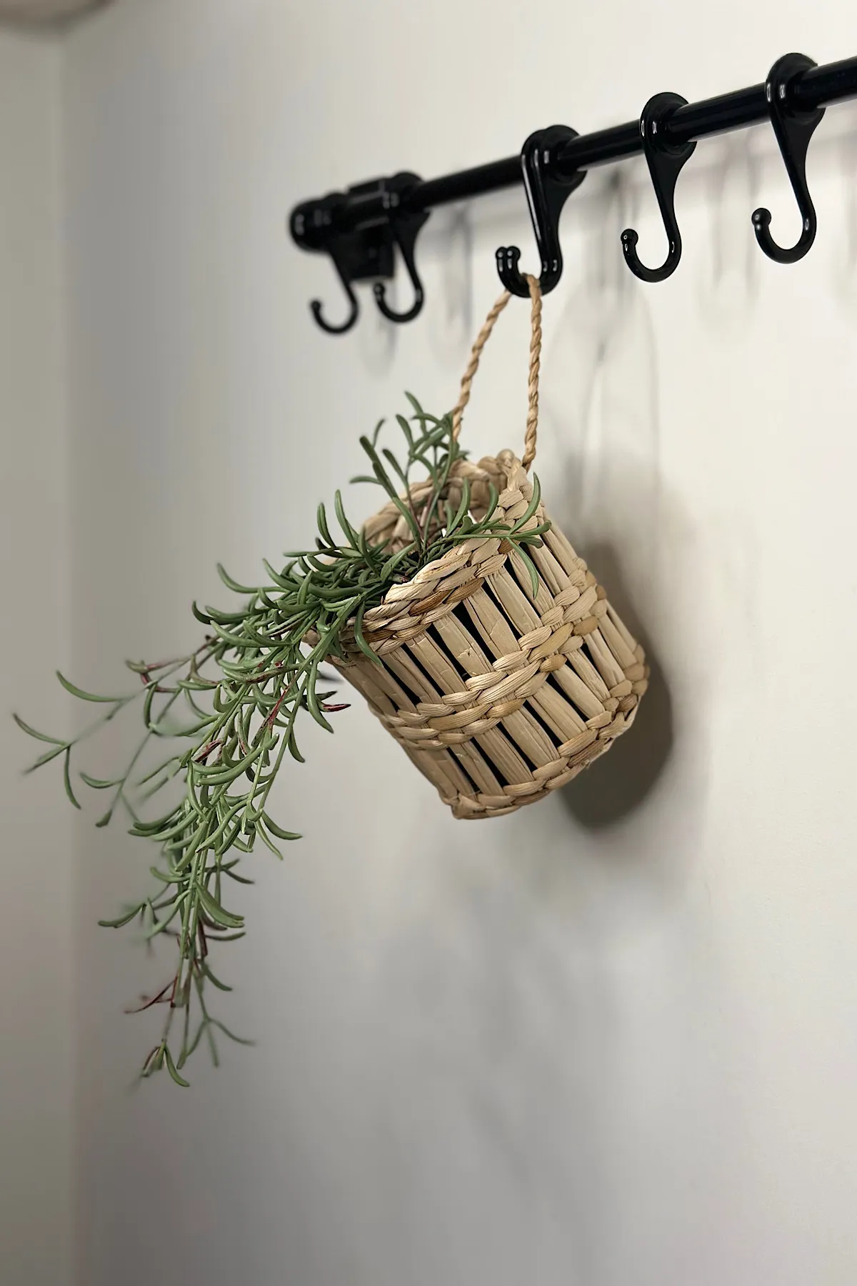 Dekoratif Çok Amaçlı Doğal El Yapımı Hasır Saksı Sepet / 10x10CM