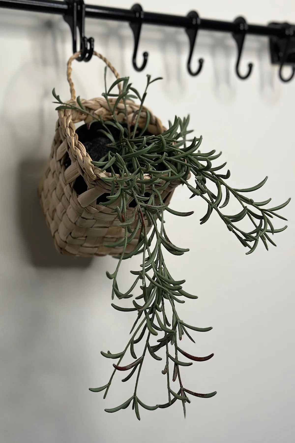 Dekoratif Çok Amaçlı Doğal El Yapımı Hasır Saksı Sepet / 10x10CM