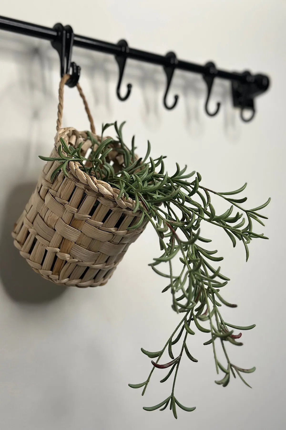 Dekoratif Çok Amaçlı Doğal El Yapımı Hasır Saksı Sepet / 10x10CM