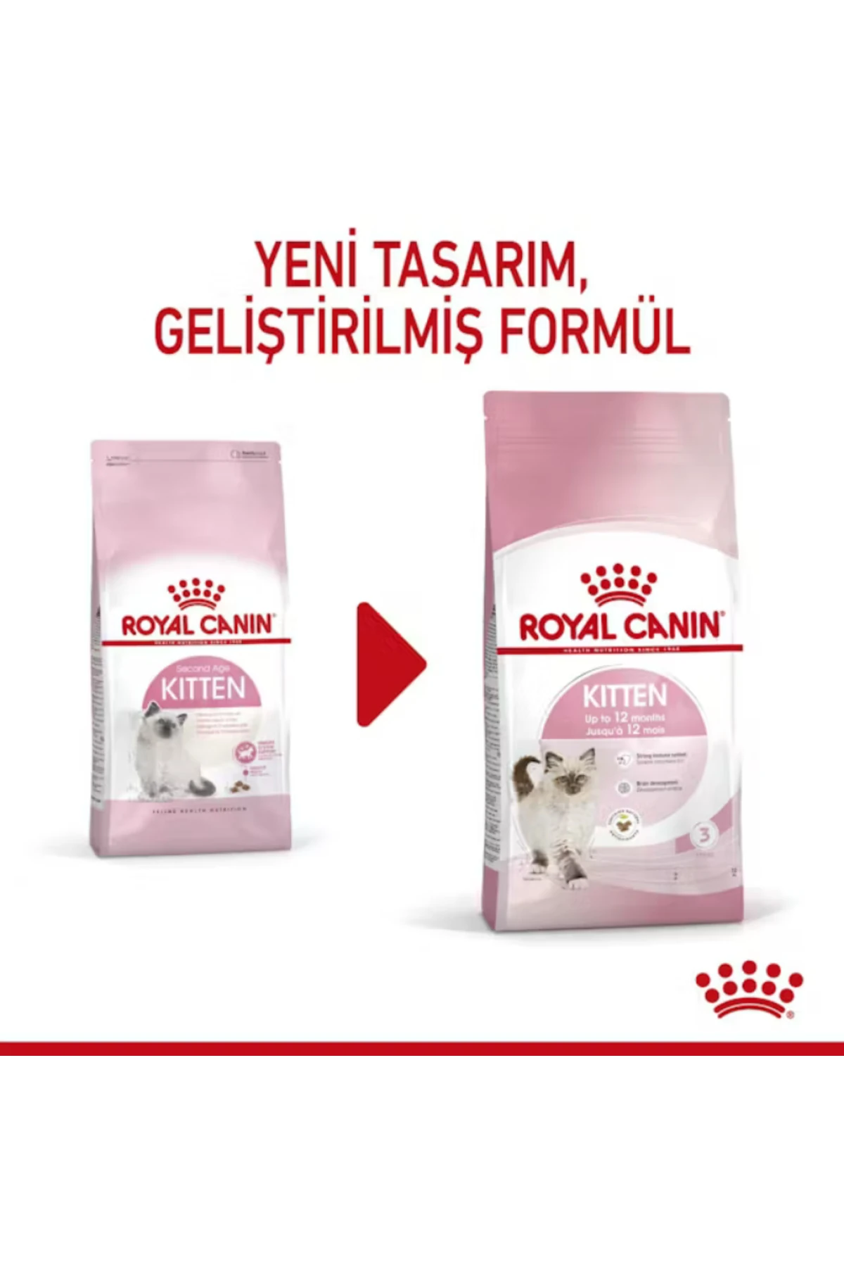 Kitten Yavru Kedi Maması 2 Kg