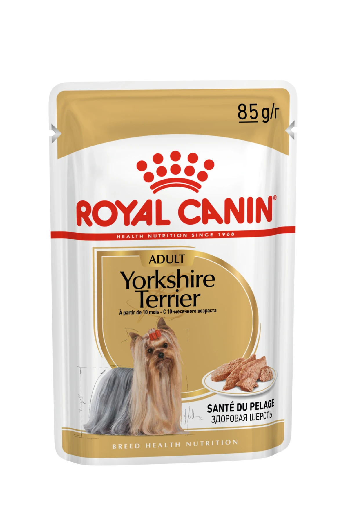 Yorkshire Terrier Yaş Köpek Maması 12 X 85g