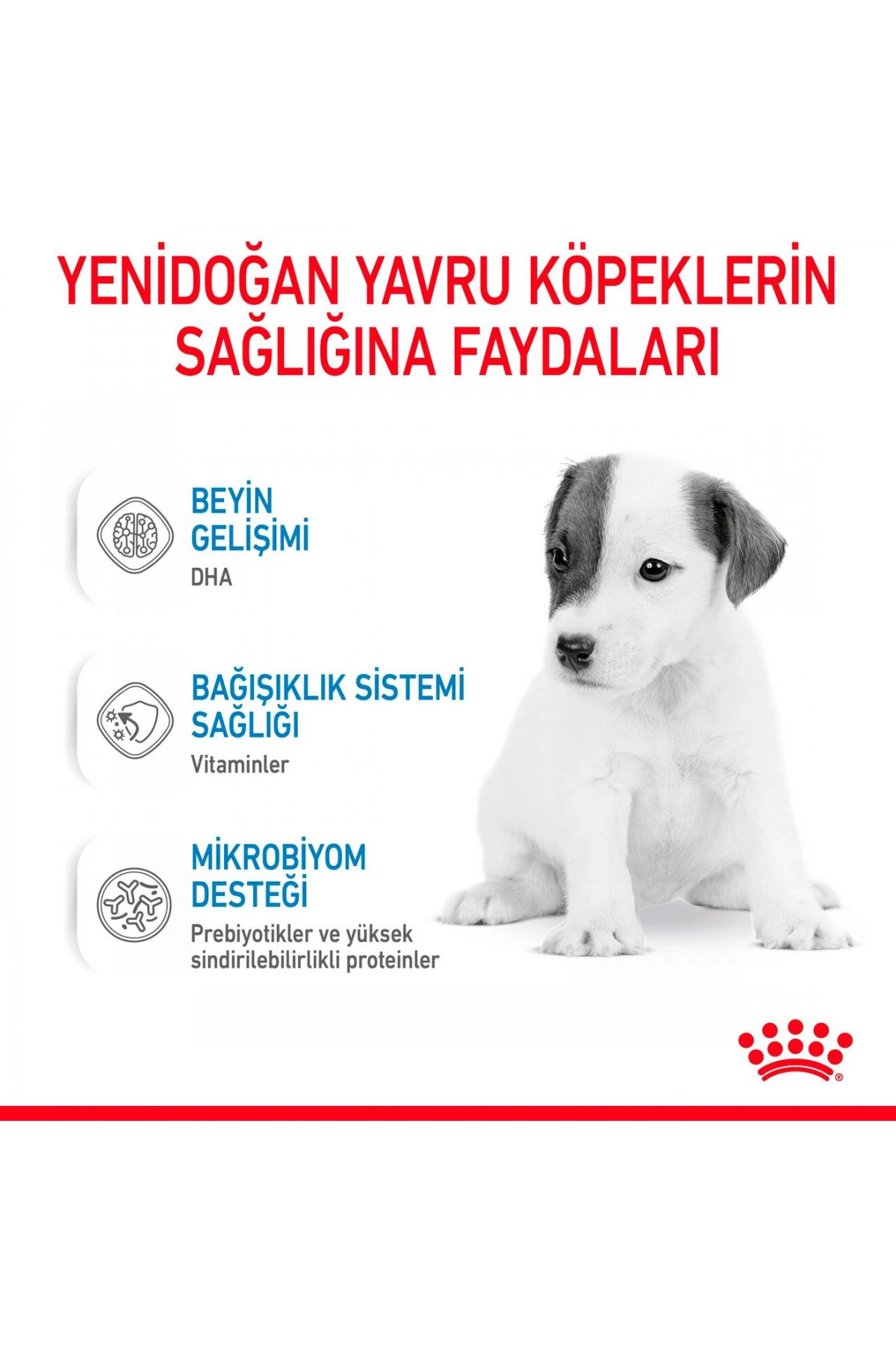Baby Dog Milk Yavru Köpekler Için Süt Ikame Maması 400g