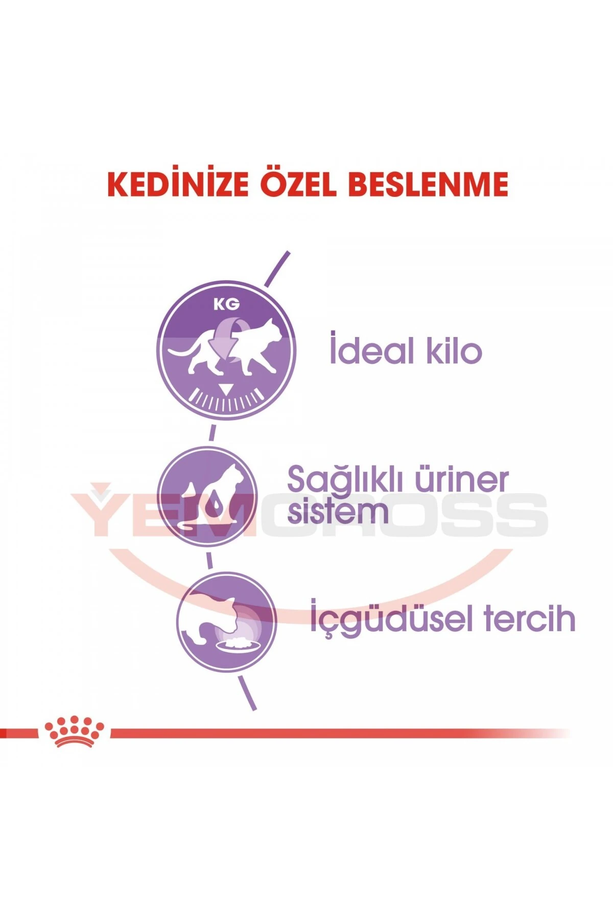 Sterilised Jelly Kısırlaştırılmış Yetişkin Kedi Yaş Maması 85 Gr x 12