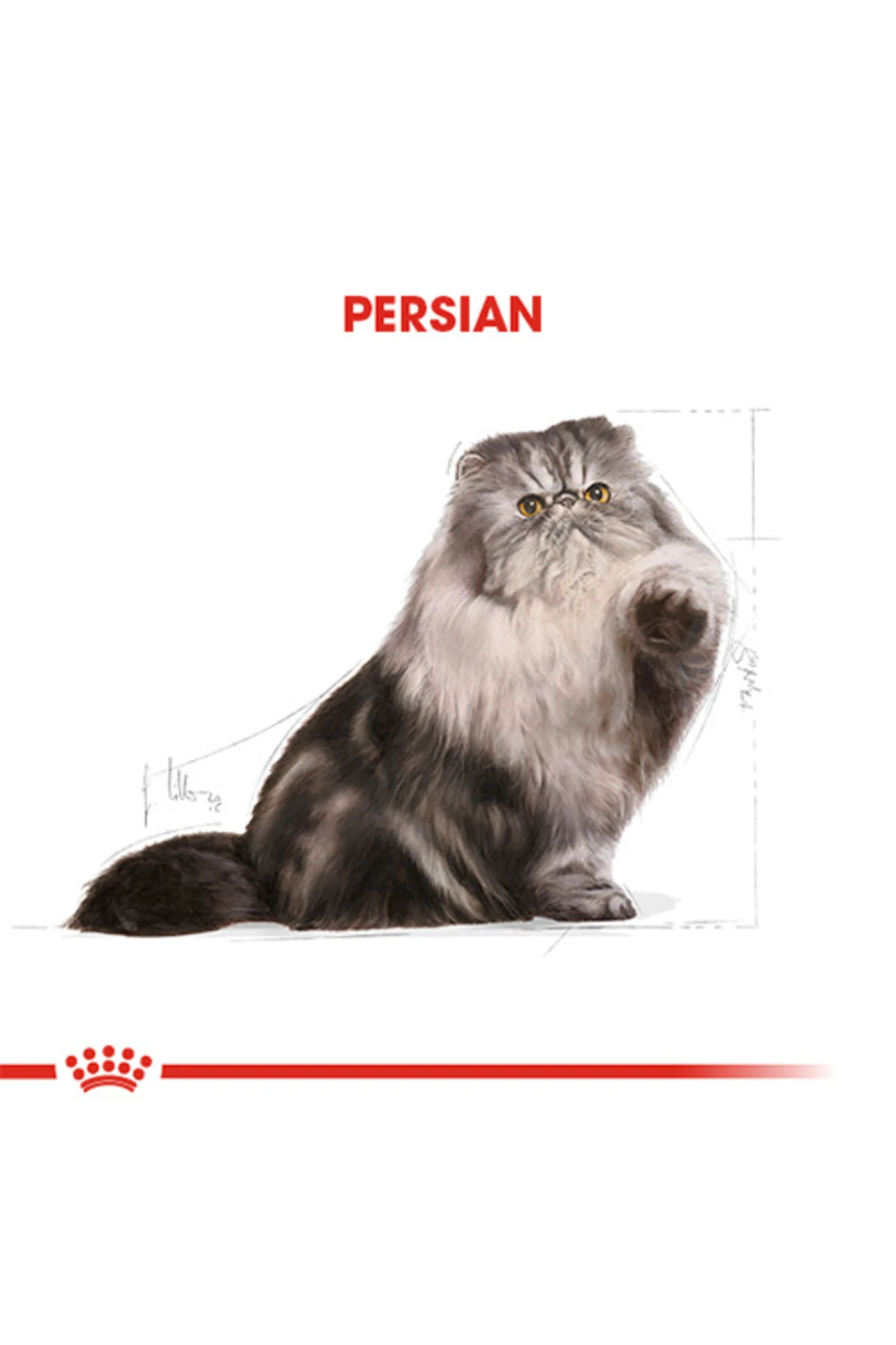 Persian Adult İran Yetişkin Kedi Maması 10 Kg