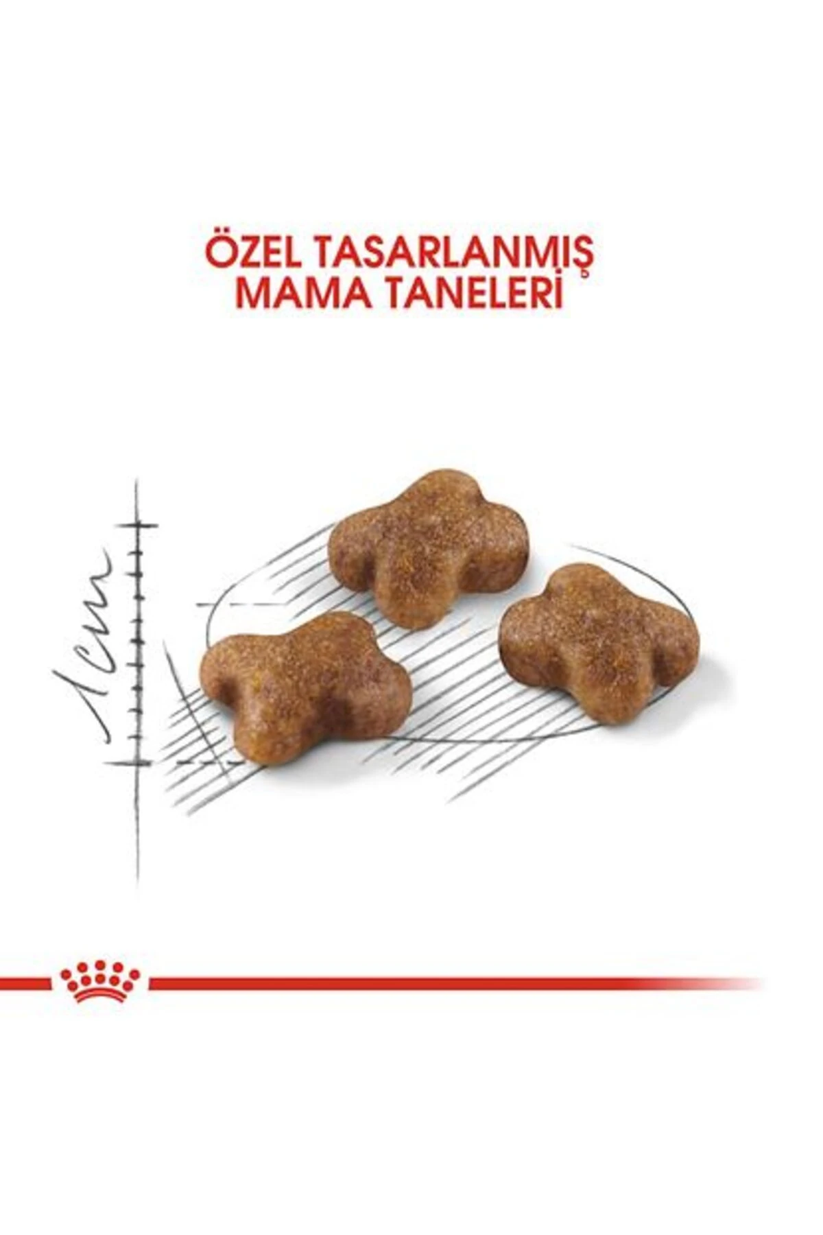 Kitten Yavru Kedi Maması - 10 Kg