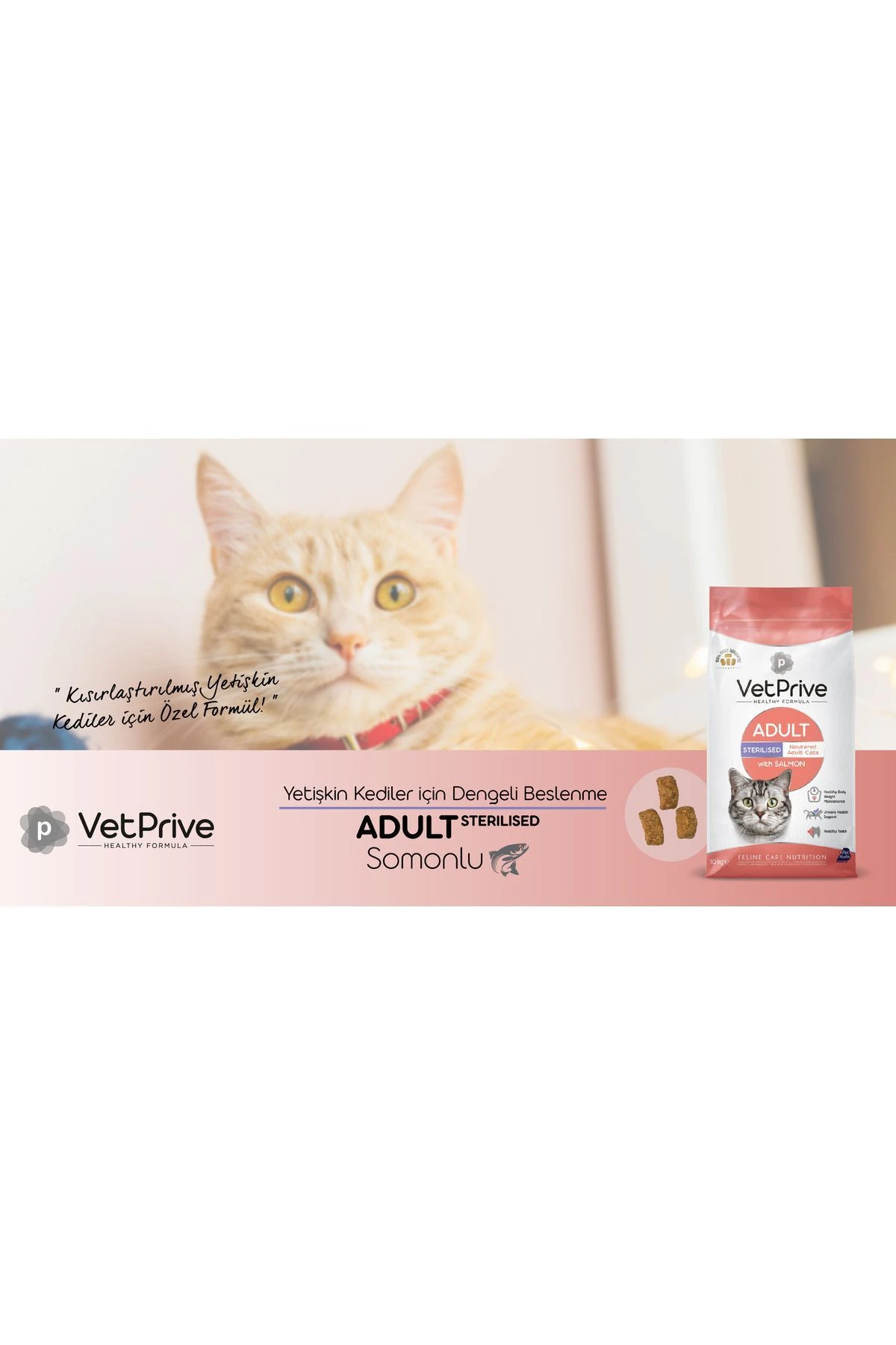 Vet Prive Kısırlaştırılmış Kedi Maması Somonlu 10 Kg