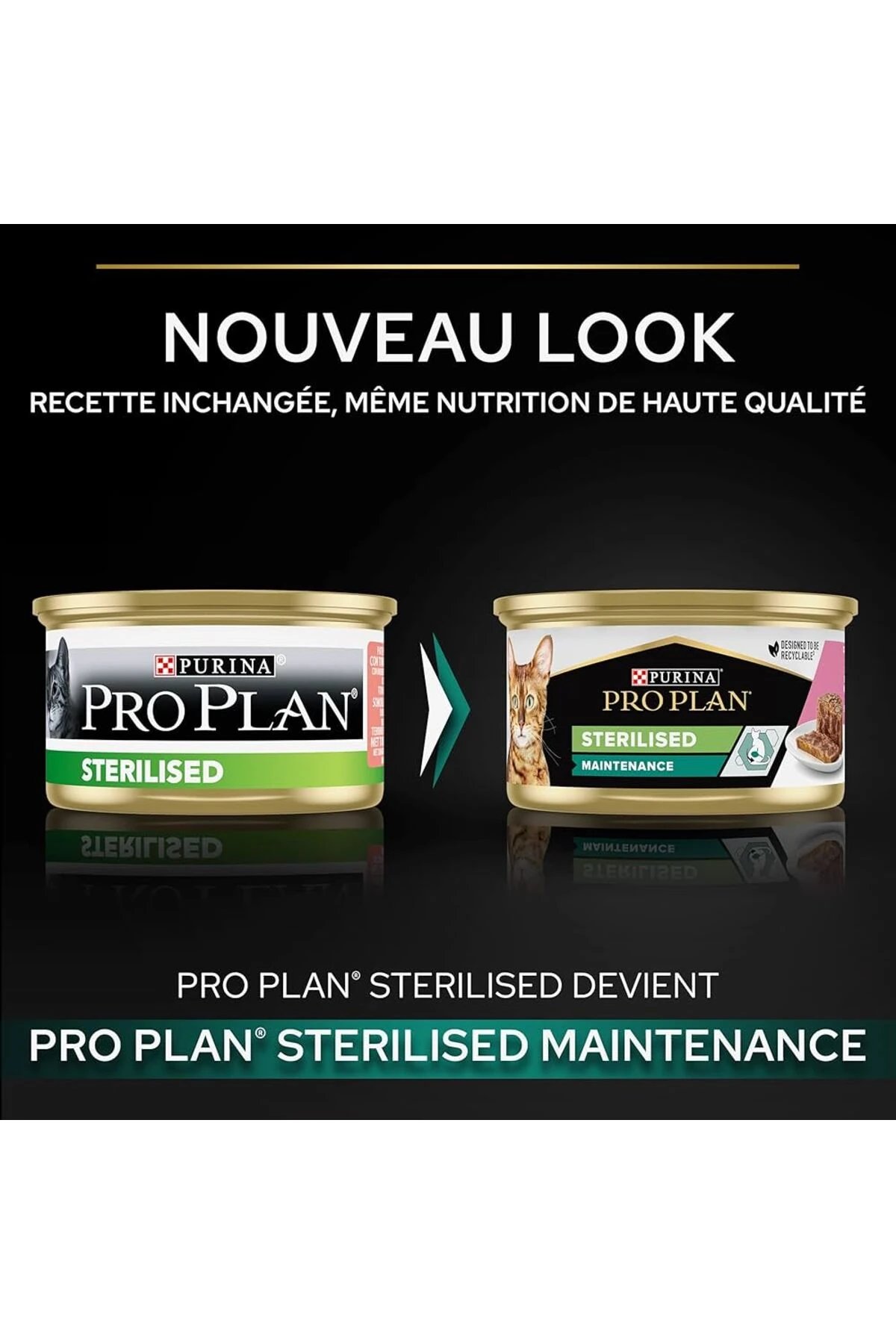 Purina Kısır Kedi Somon Ve Ton Balıklı Konserve 85 gr x 24 Adet