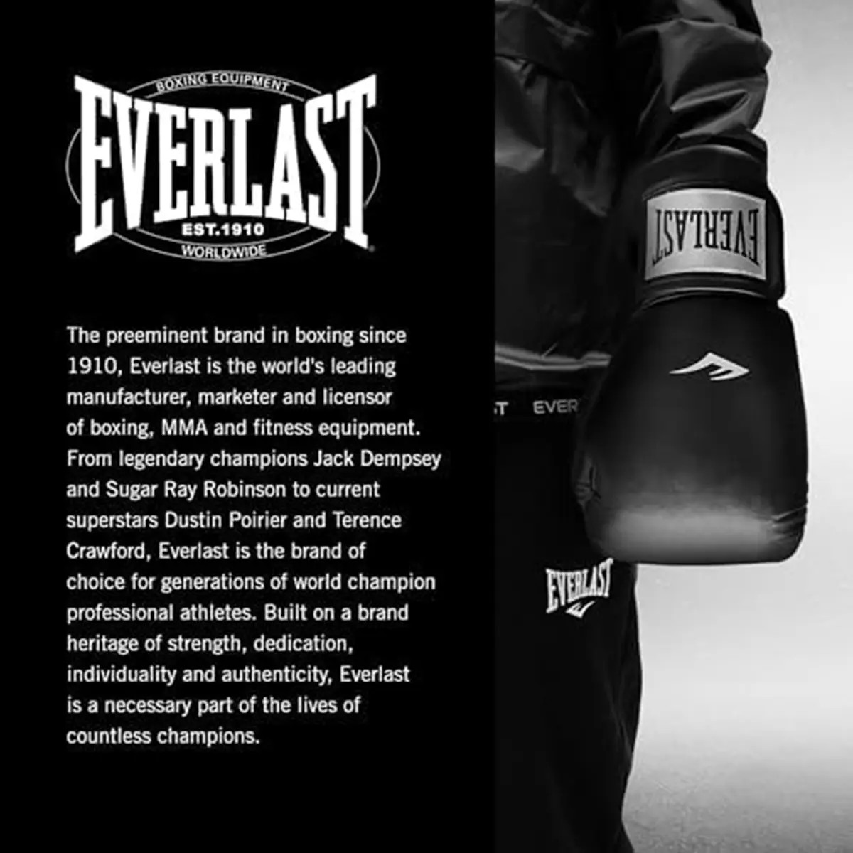 Everlast Prostyle 2 Boks Eldiveni