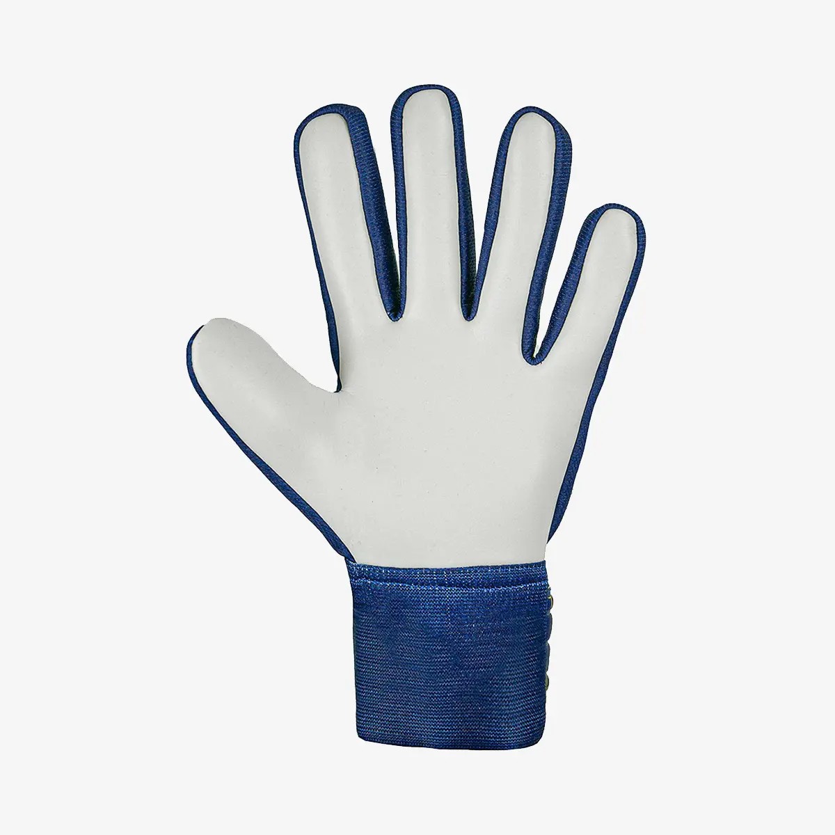 Reusch Attrakt Starter Solid Kaleci Eldiveni