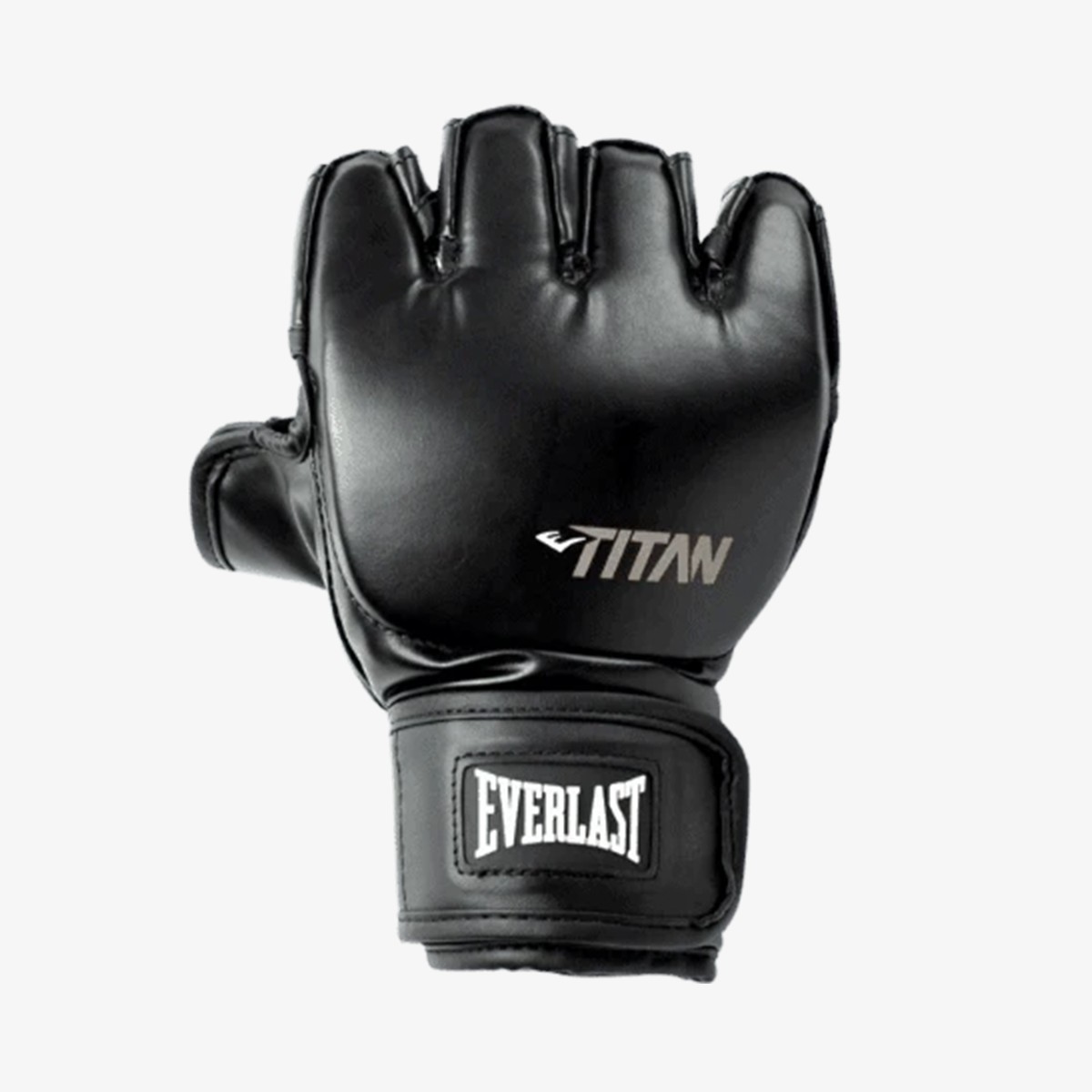 Everlast Titan MMA Eldiveni