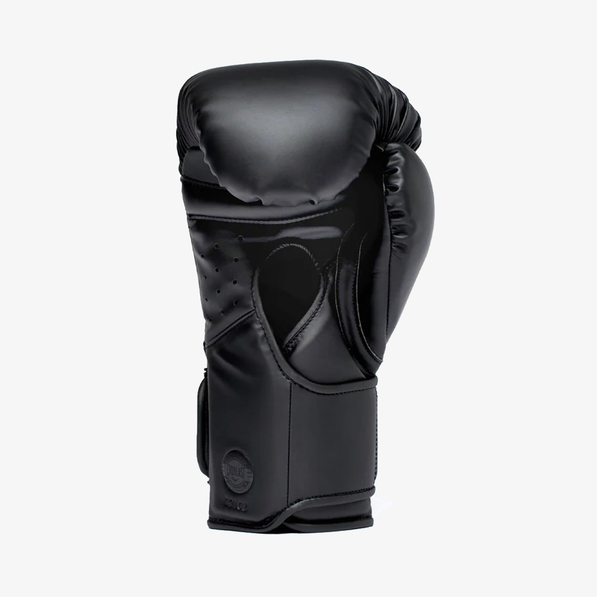 Everlast Elite 2 Pro Boxing Gloves H&L