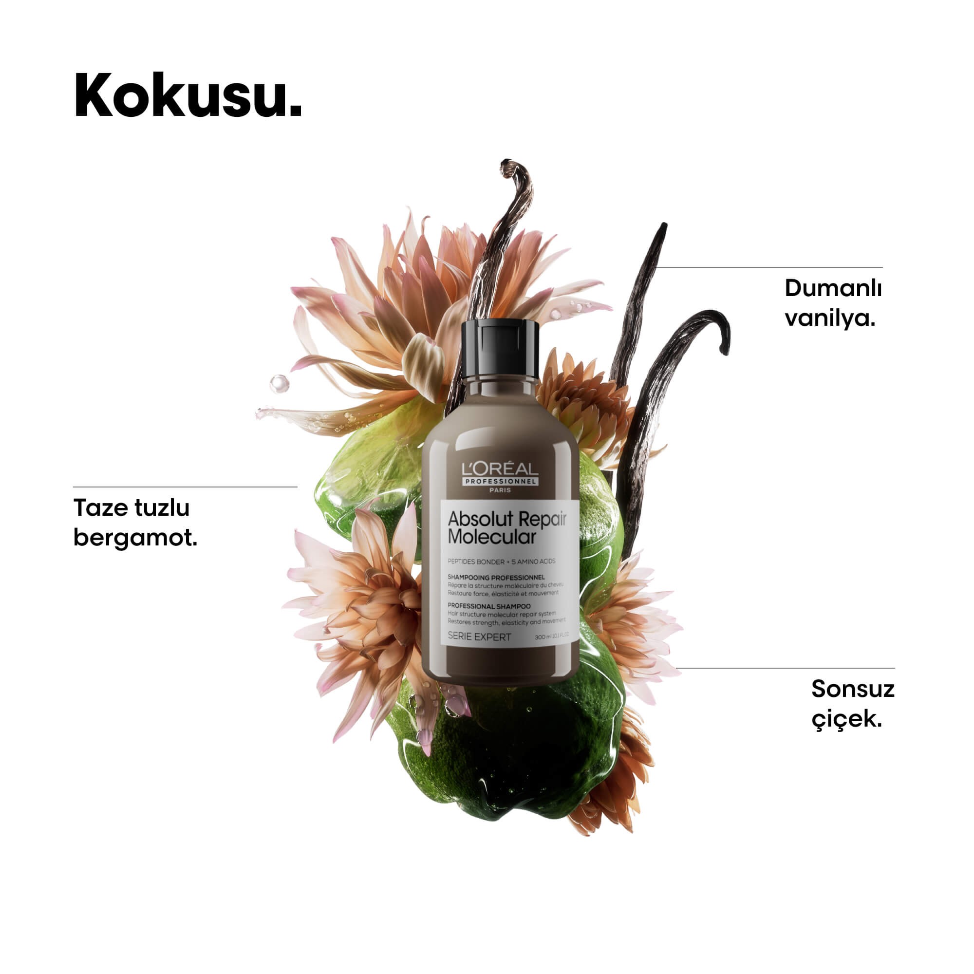 L'oreal Professionnel Absolut Repair Molecular Şampuan 300 ML 