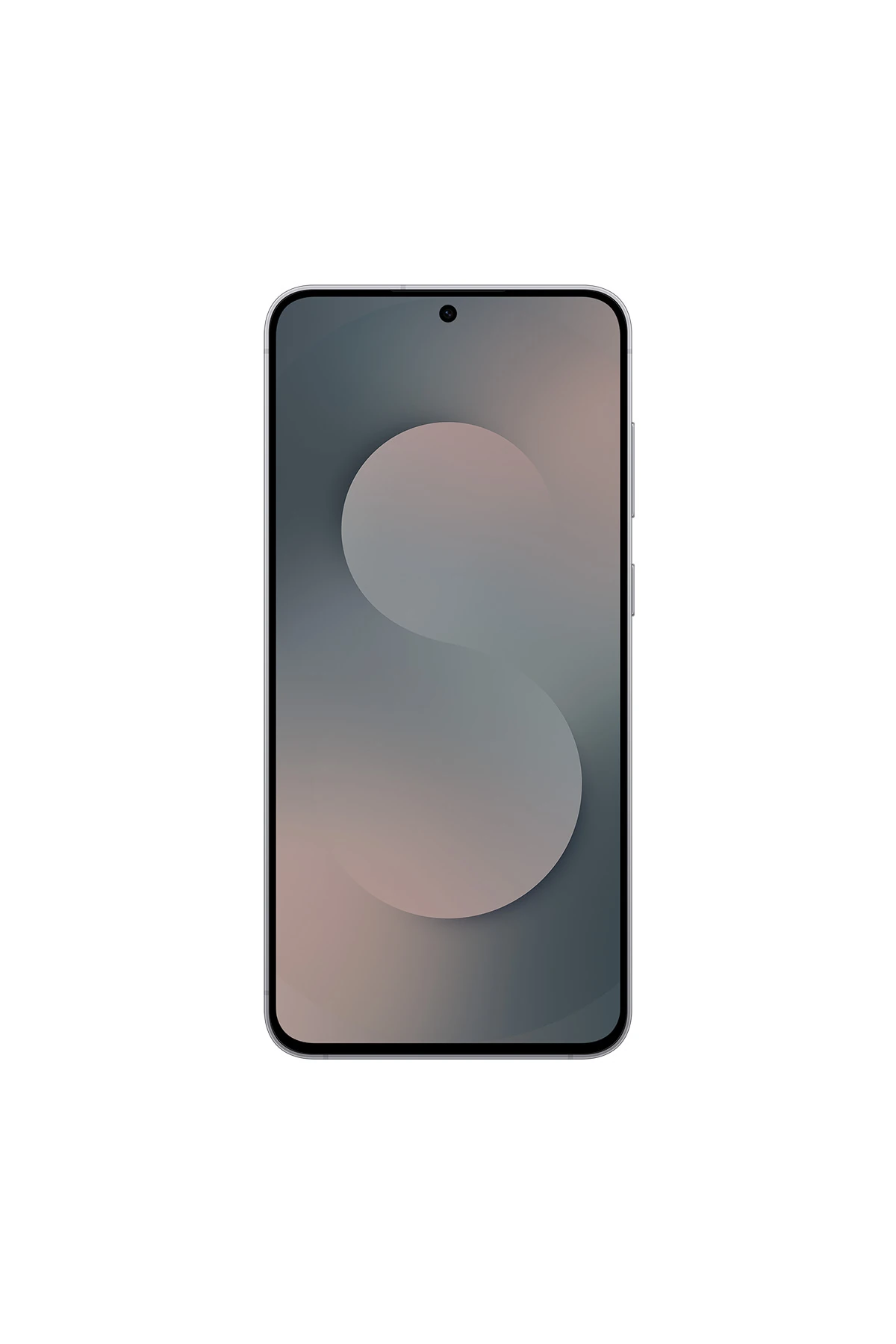 CEP TELEFONU S 25 FE BLACK 8/256