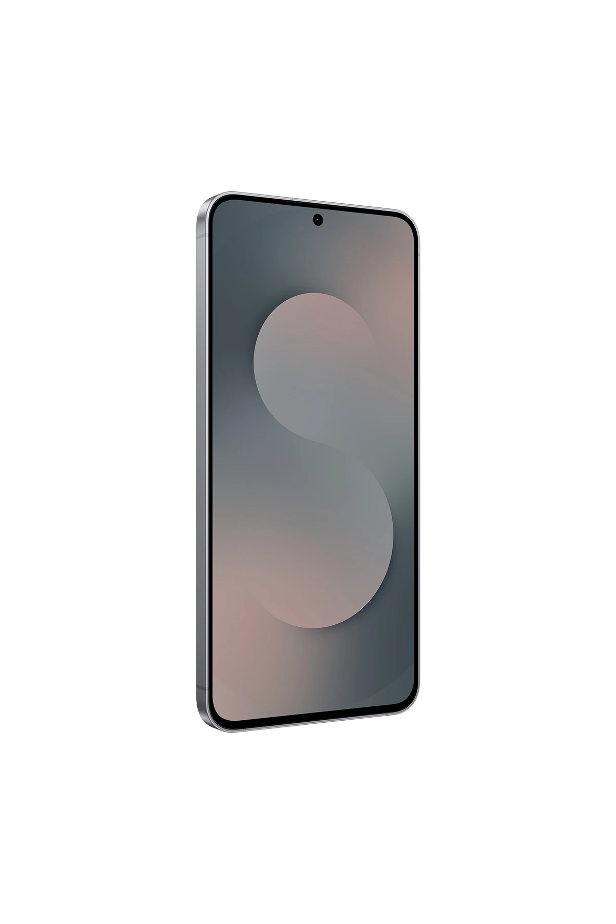 CEP TELEFONU S 25 FE BLACK 8/256