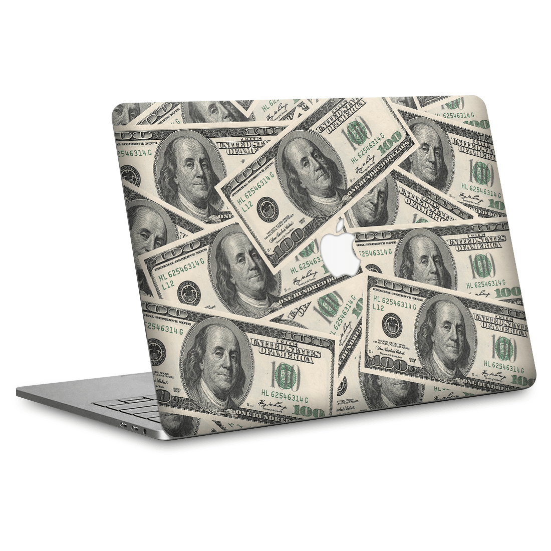 MacBook Pro 13" (2013-2015 Retina) Kaplama - Dolar Desenli